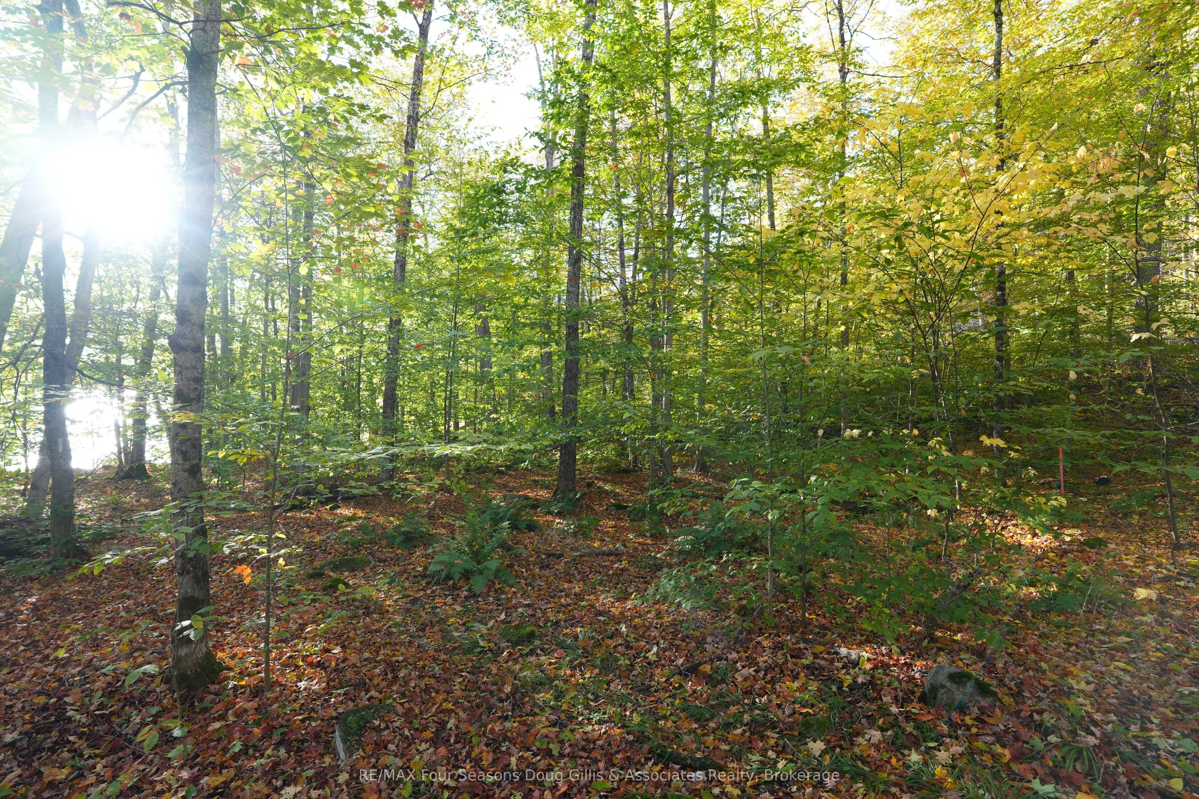 PIN 48064-0345 Sugar Bush Road