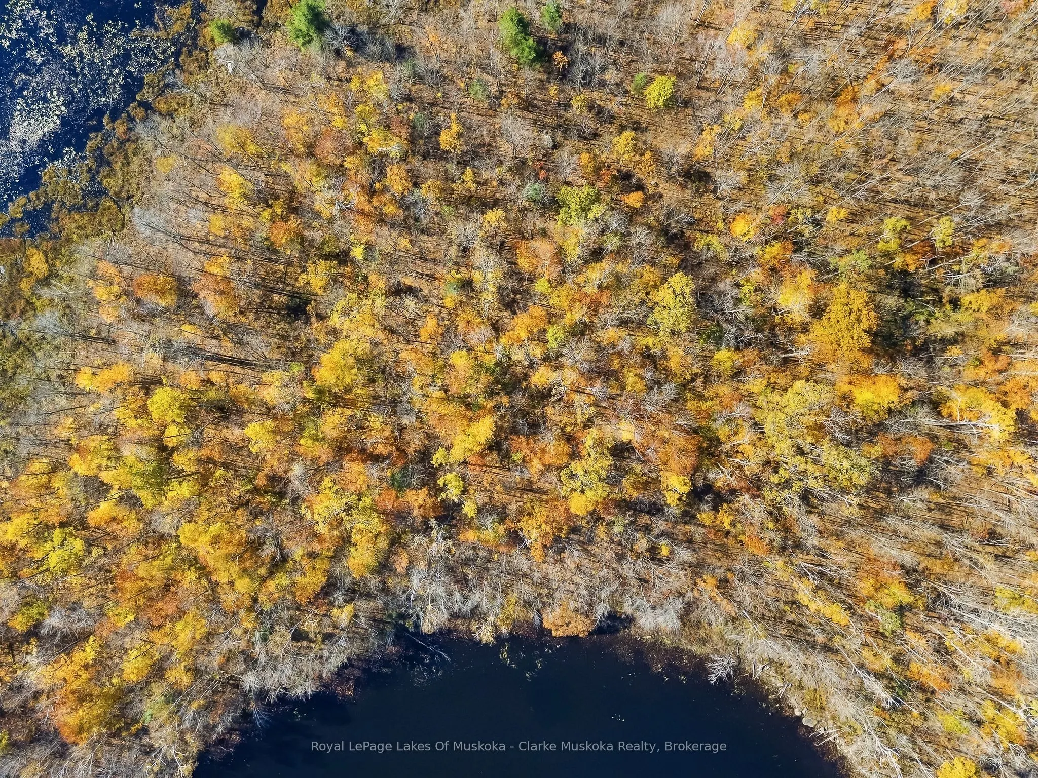 4805 Muskoka 169 Road #Lot 2