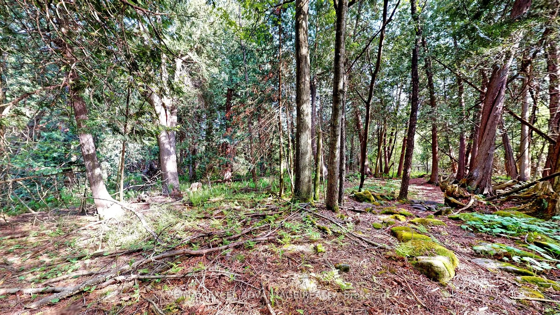 44 Edgewood Road