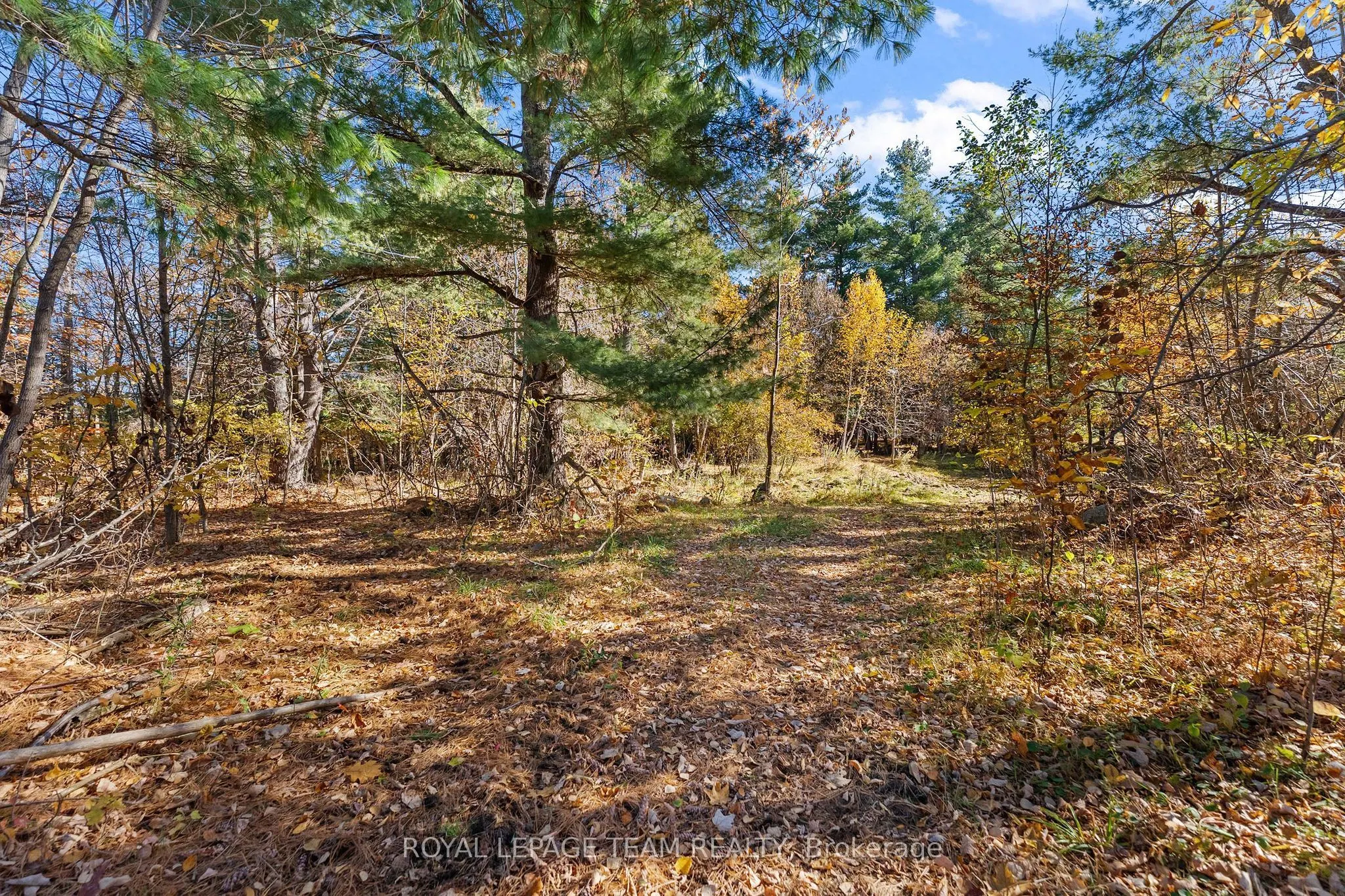 16 Royal Pines Road