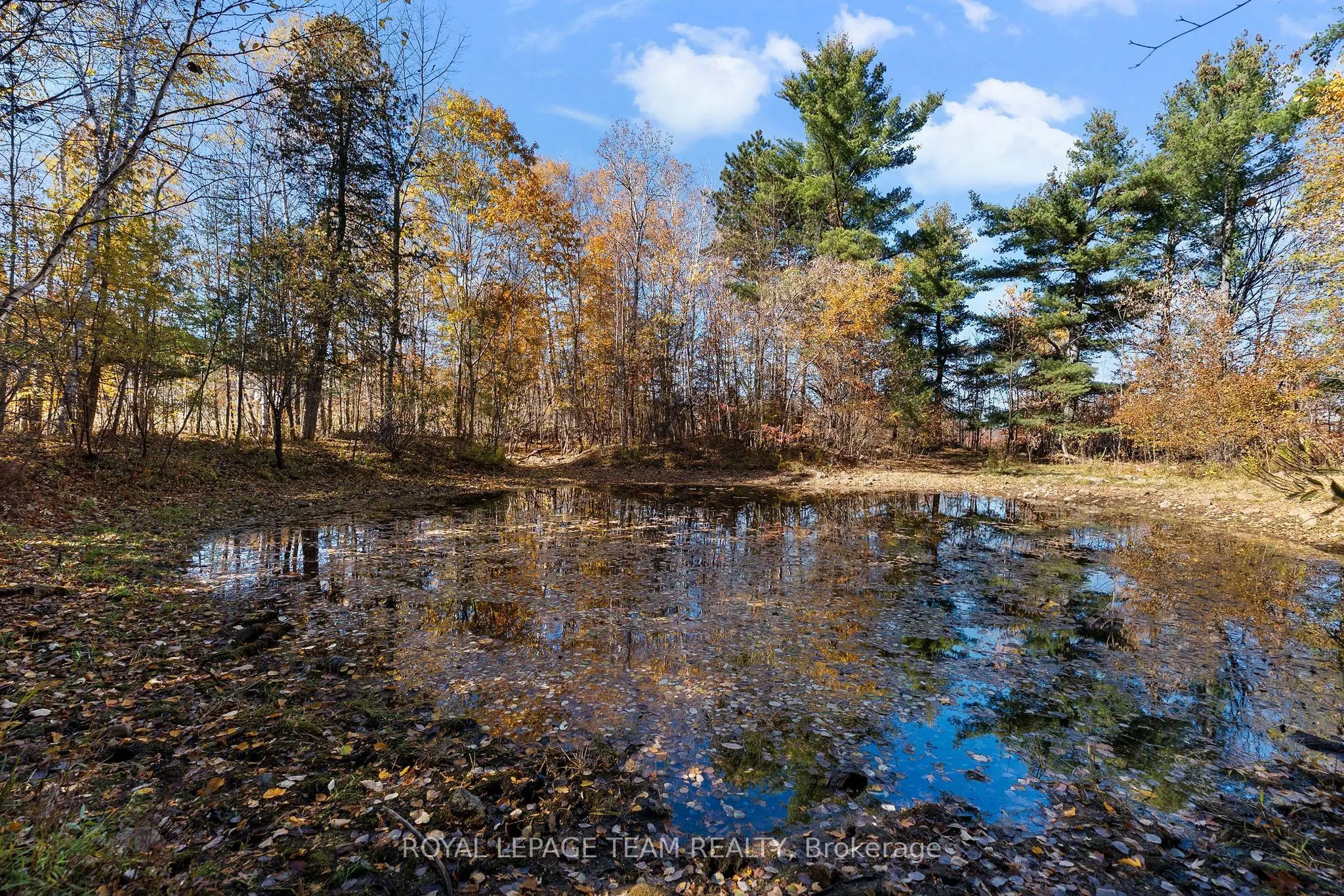 16 Royal Pines Road