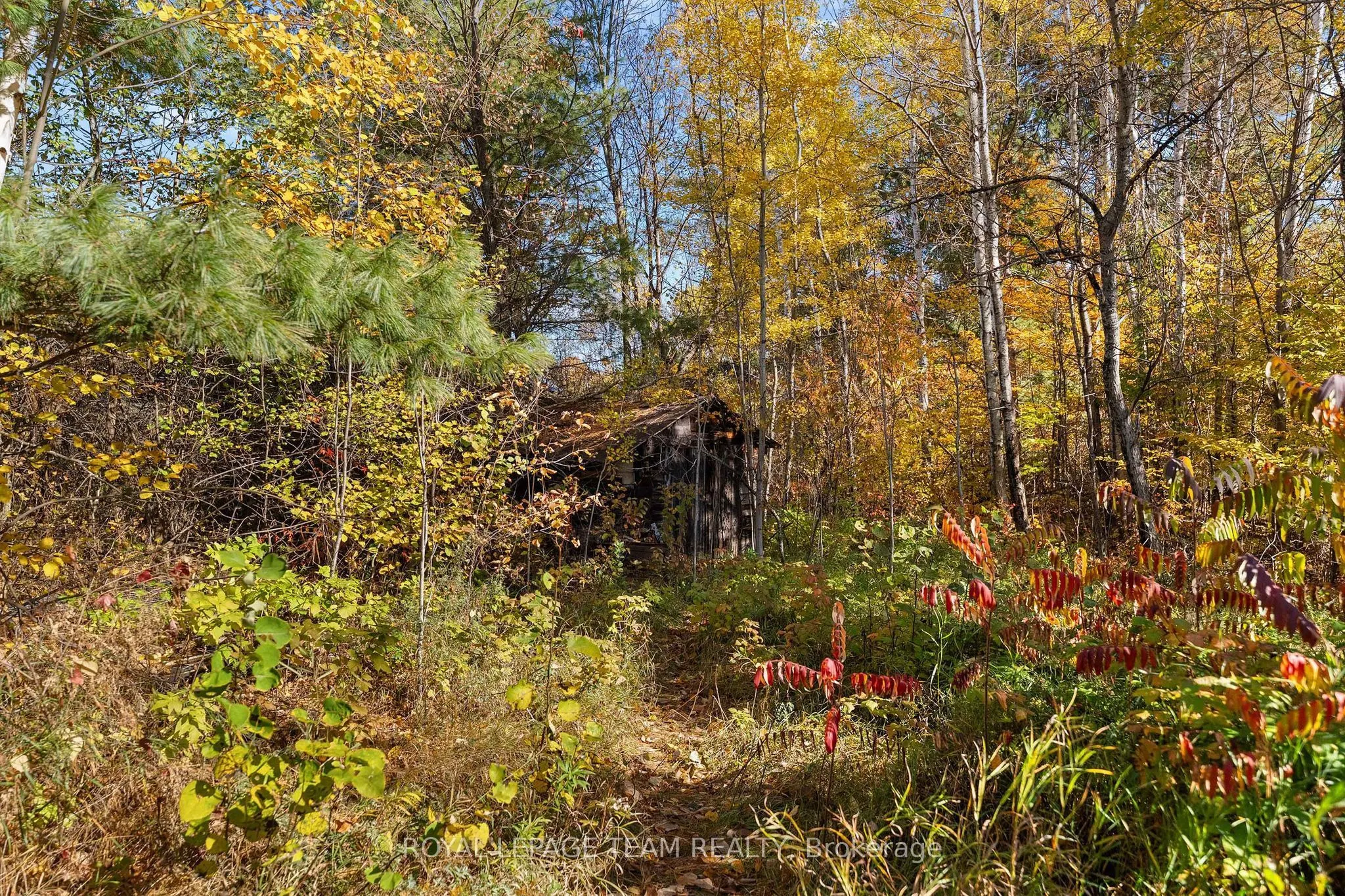 16 Royal Pines Road