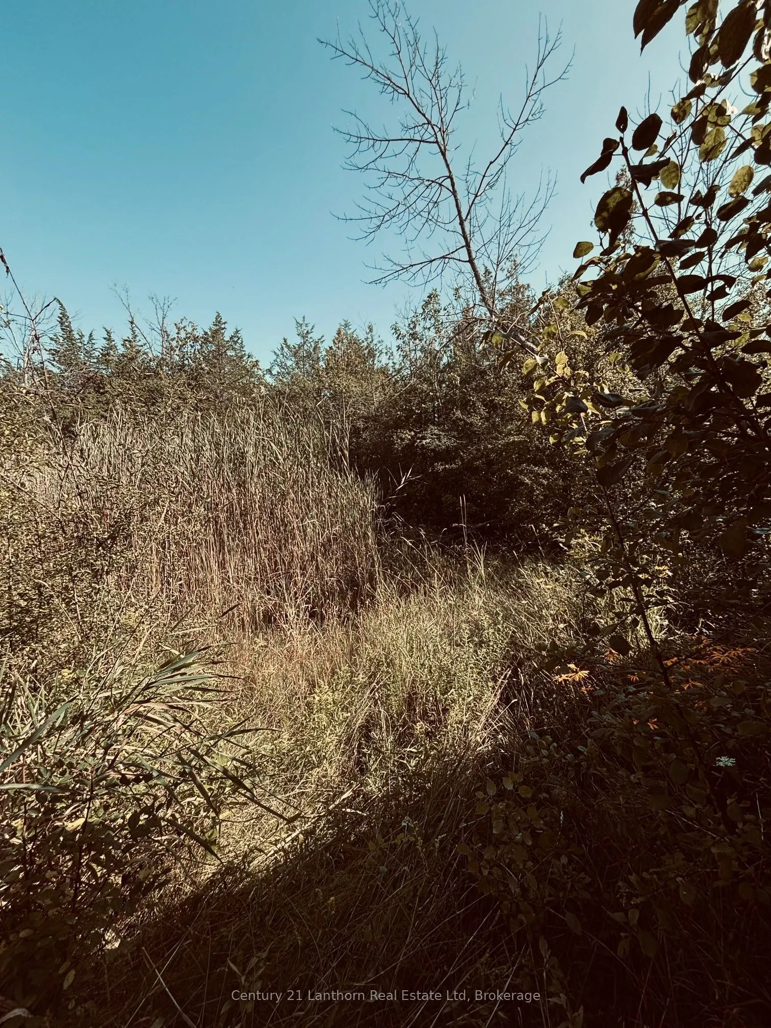 Across from 191 Hill Top Road