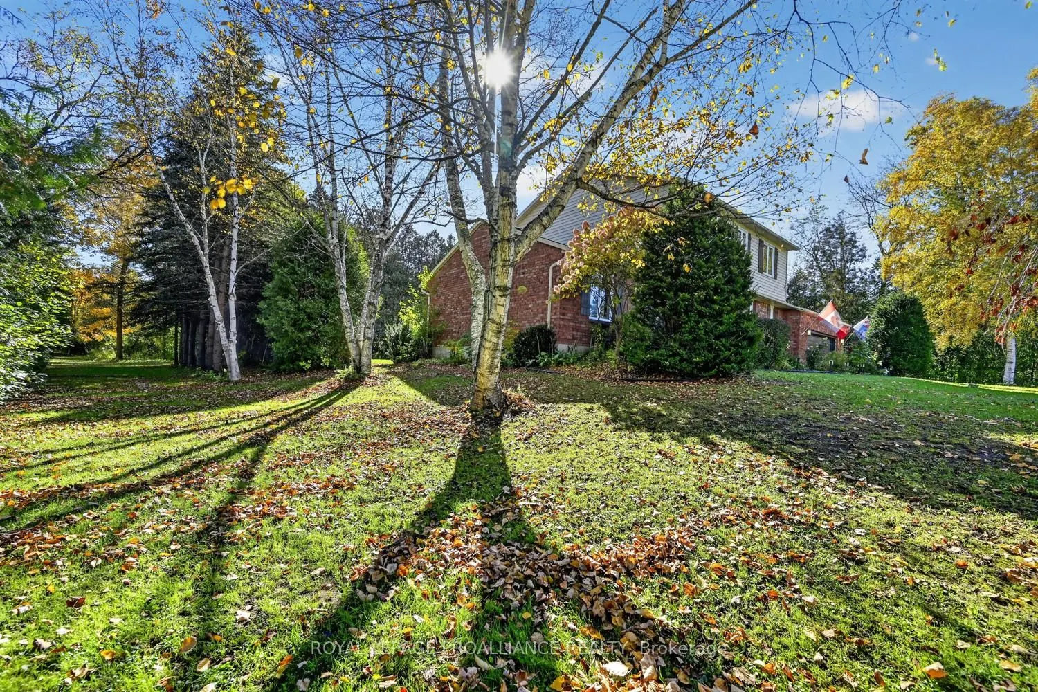 15 Willow Drive