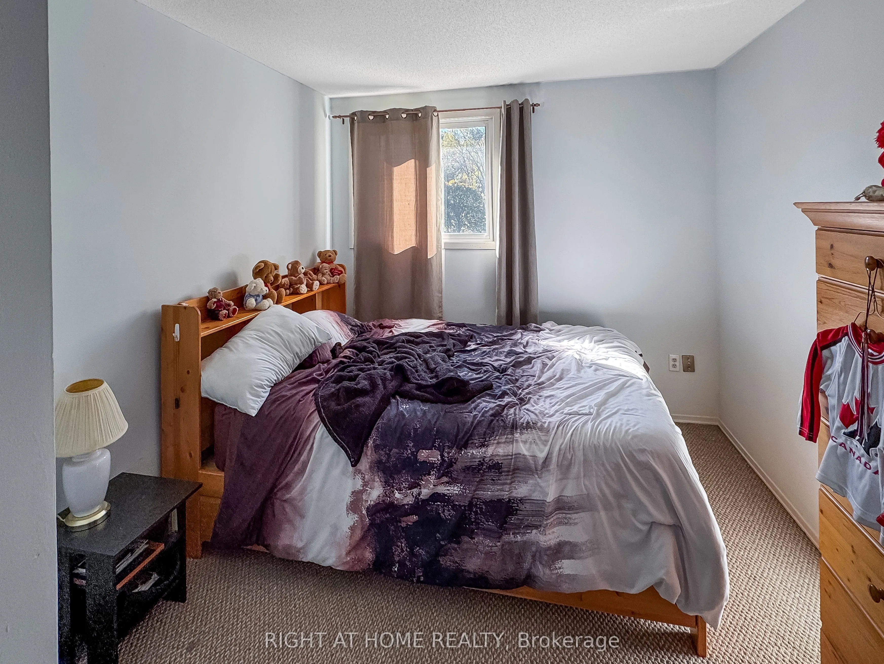301 Carlow Road S #37