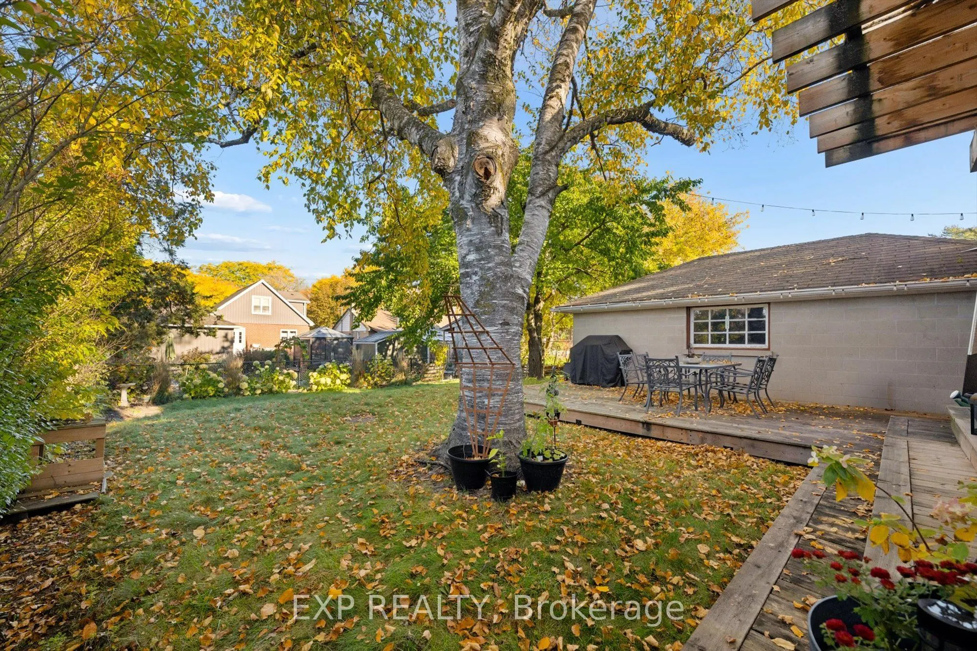 12 Layton Street