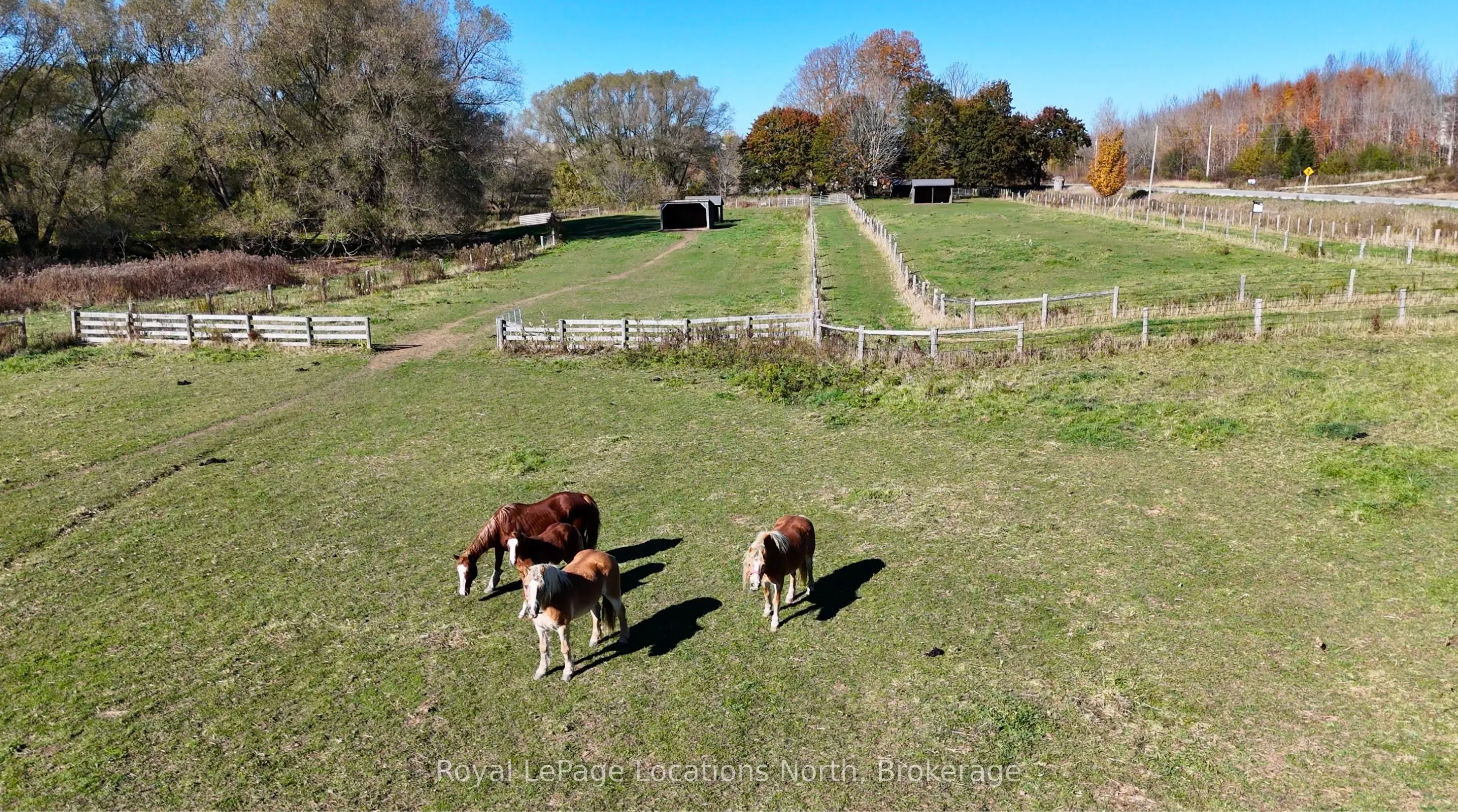 137662 Grey Road 12
