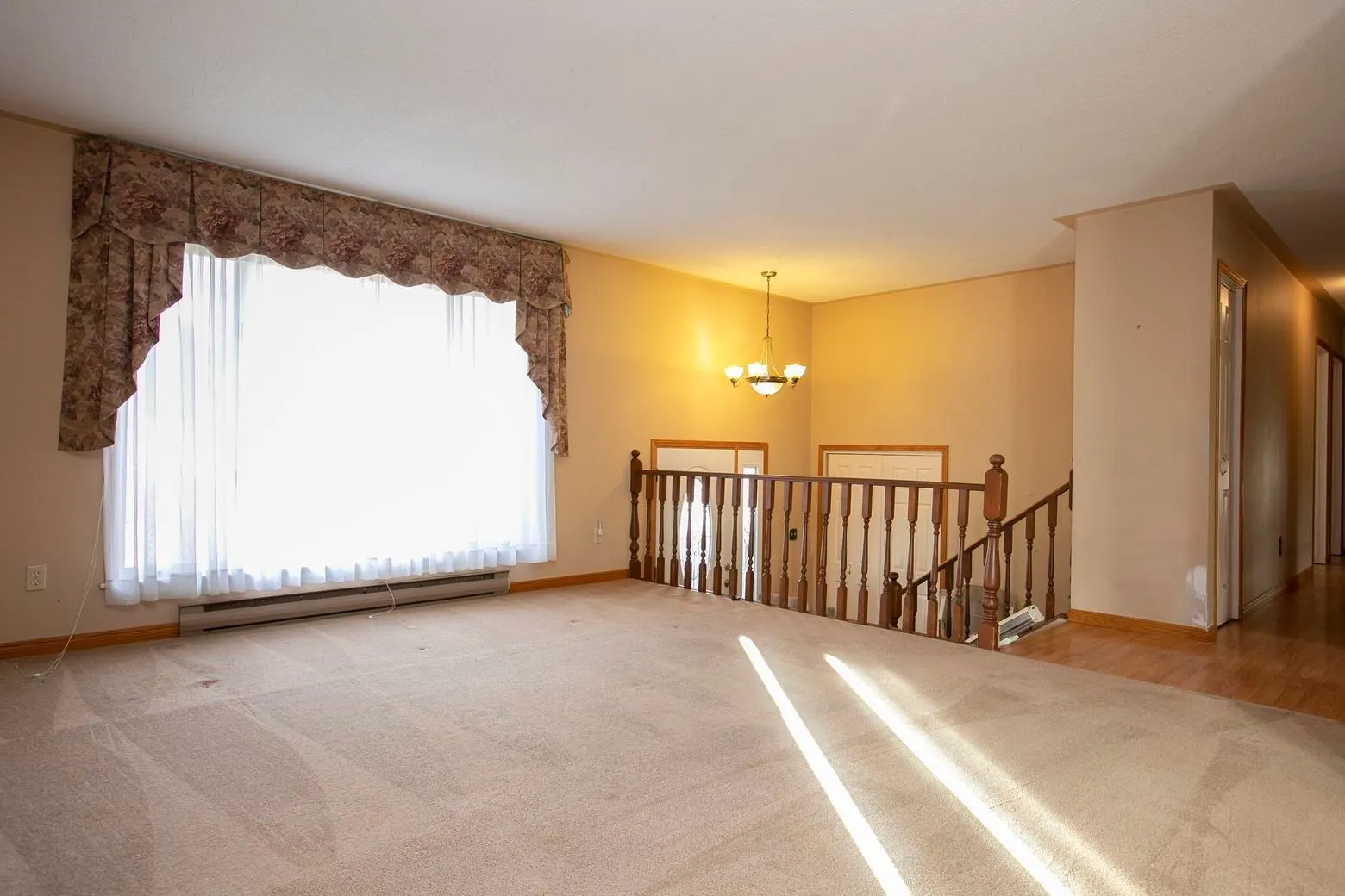 36 Danby Road
