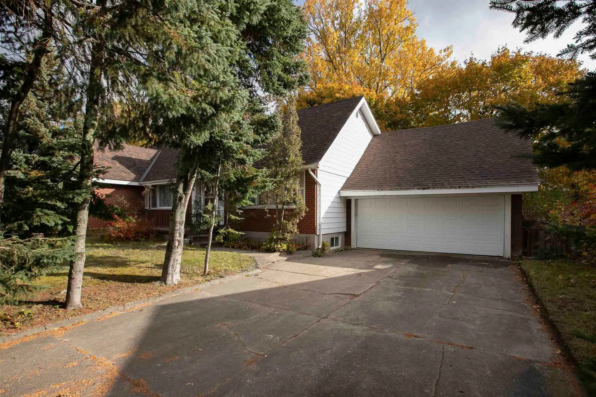 119 Parkdale Drive