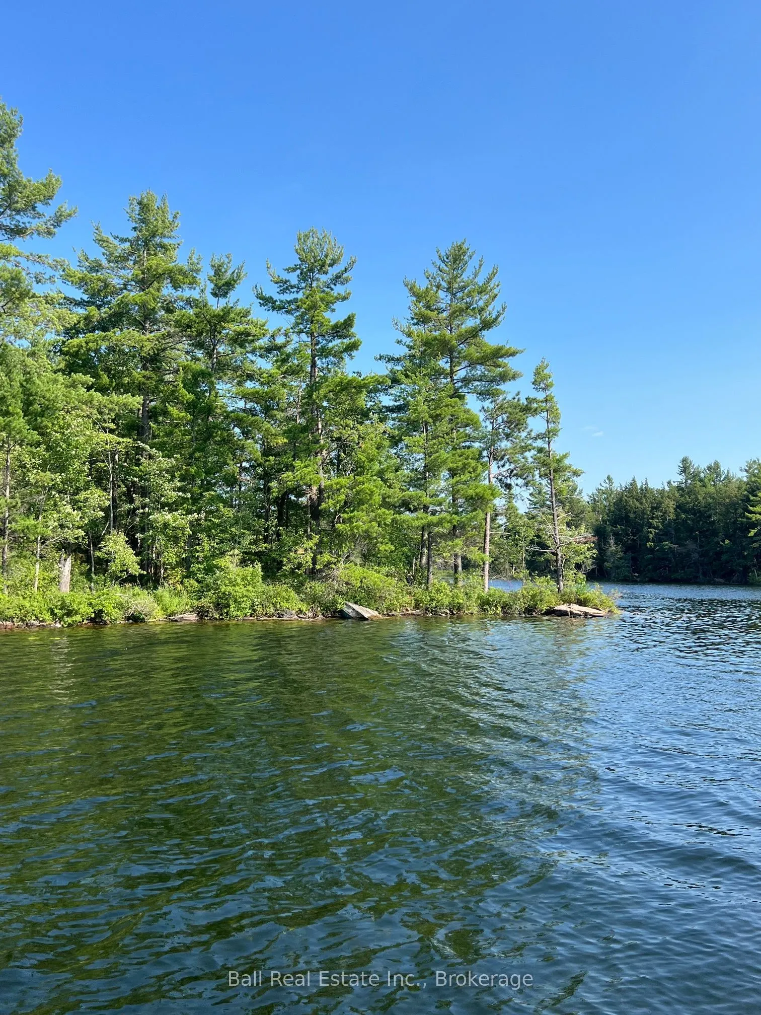 0 Long Lake WAO