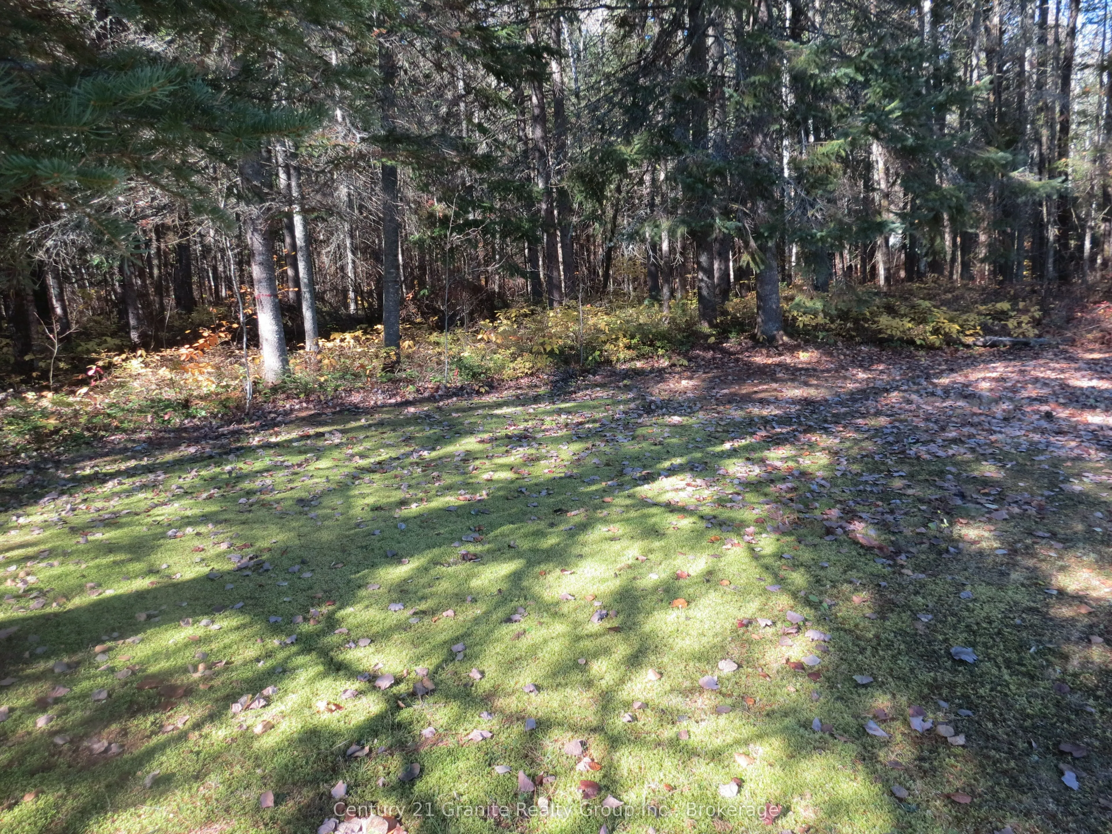 1084 South Algonquin Road
