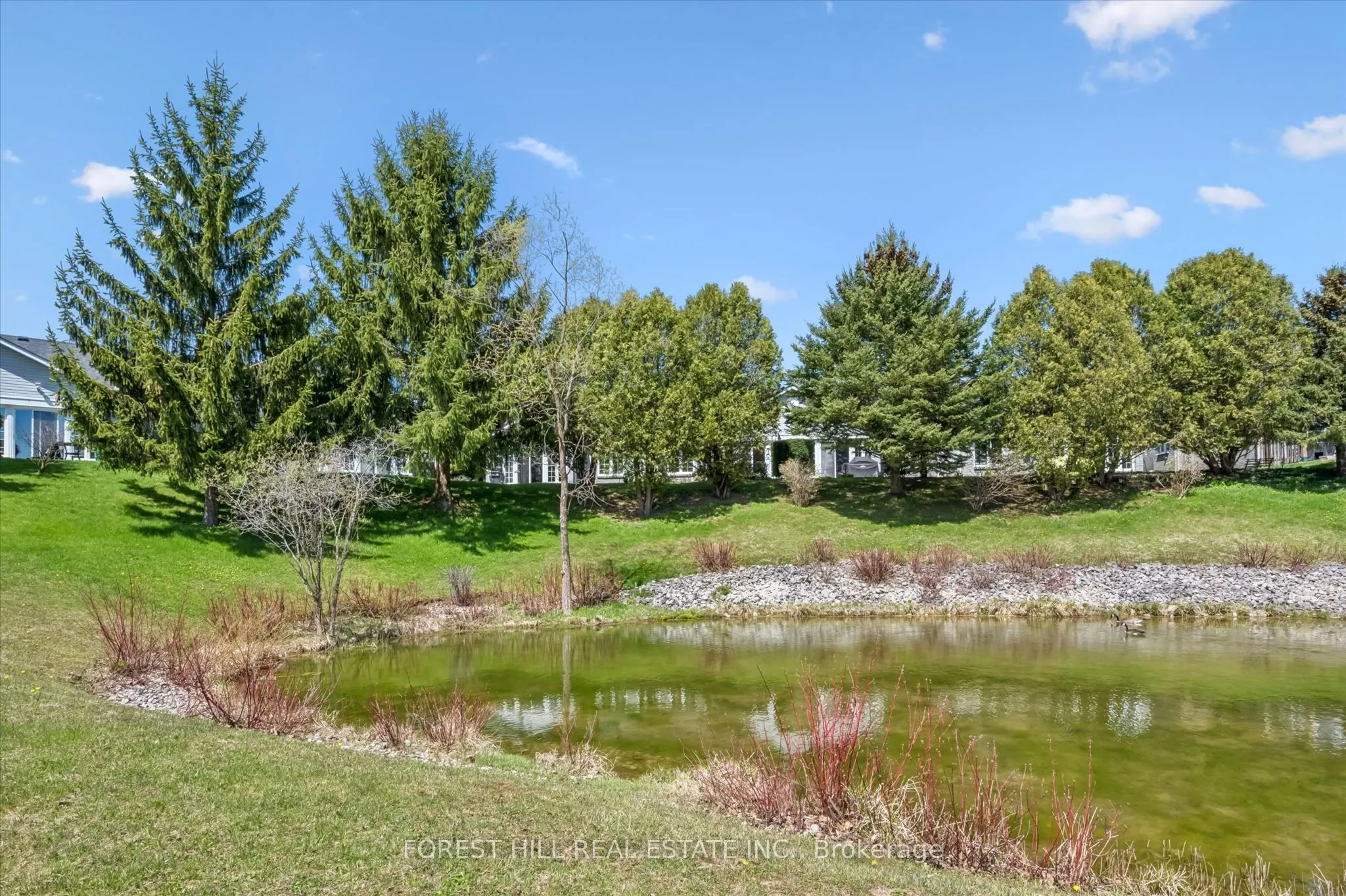 21 Foell Street #6
