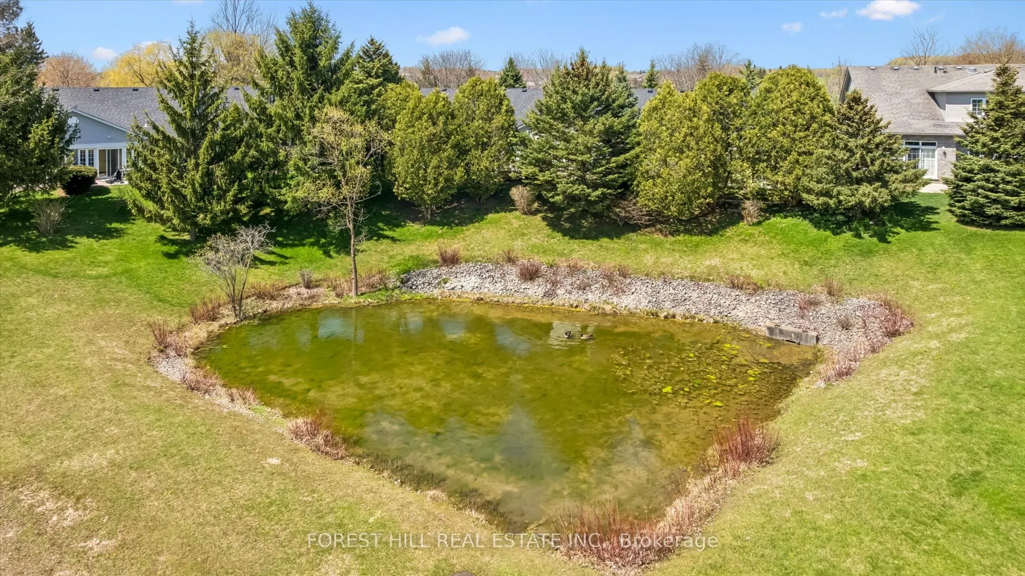 21 Foell Street #6