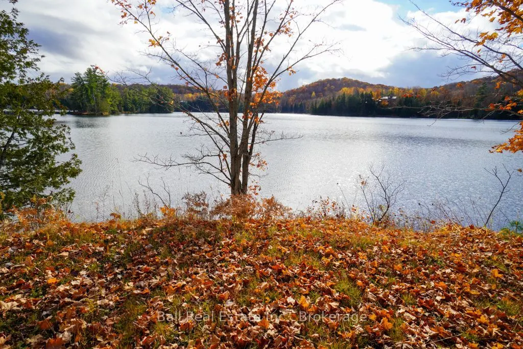 233 Trout Lake Road