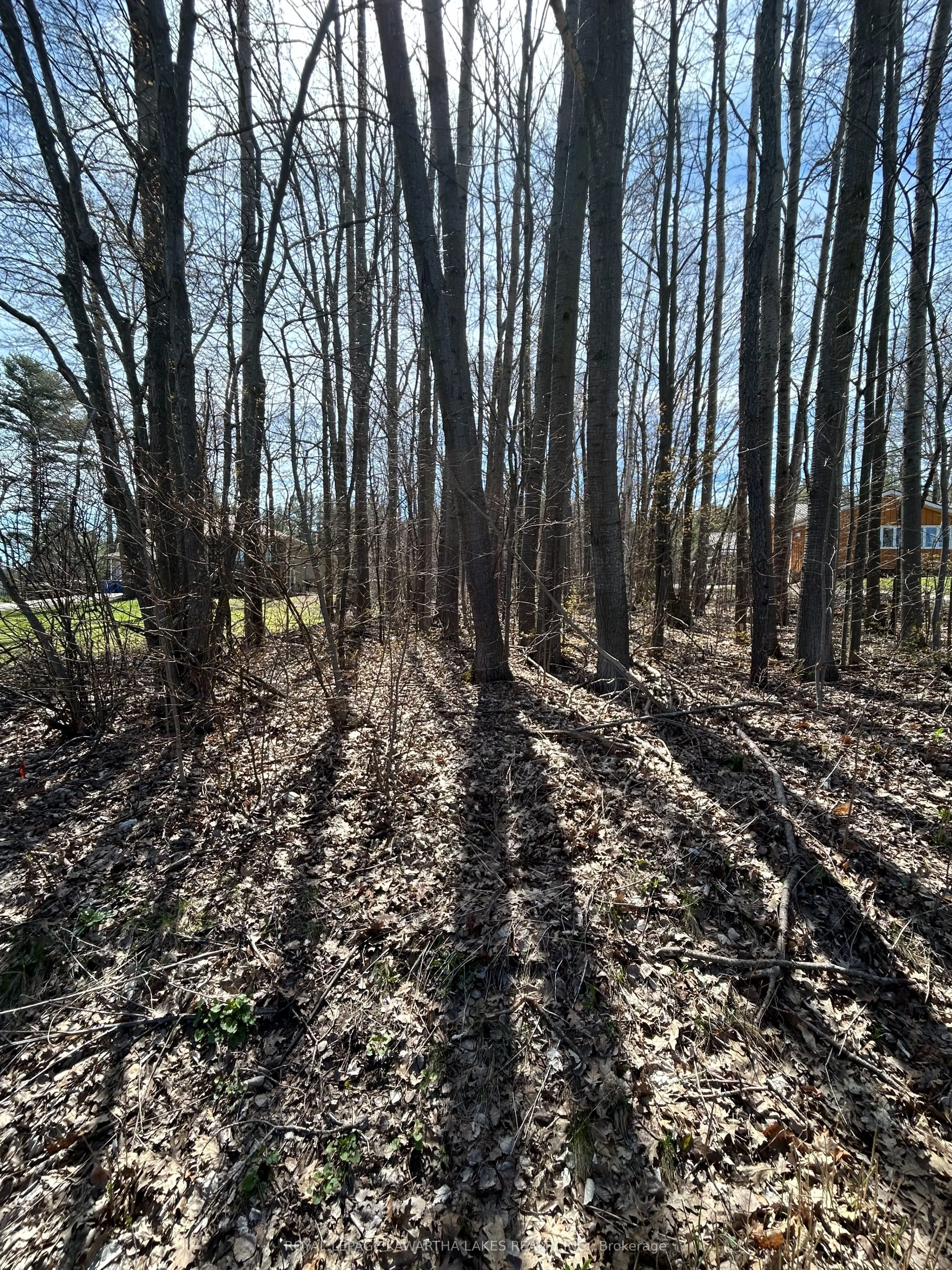 0 Poplar Drive