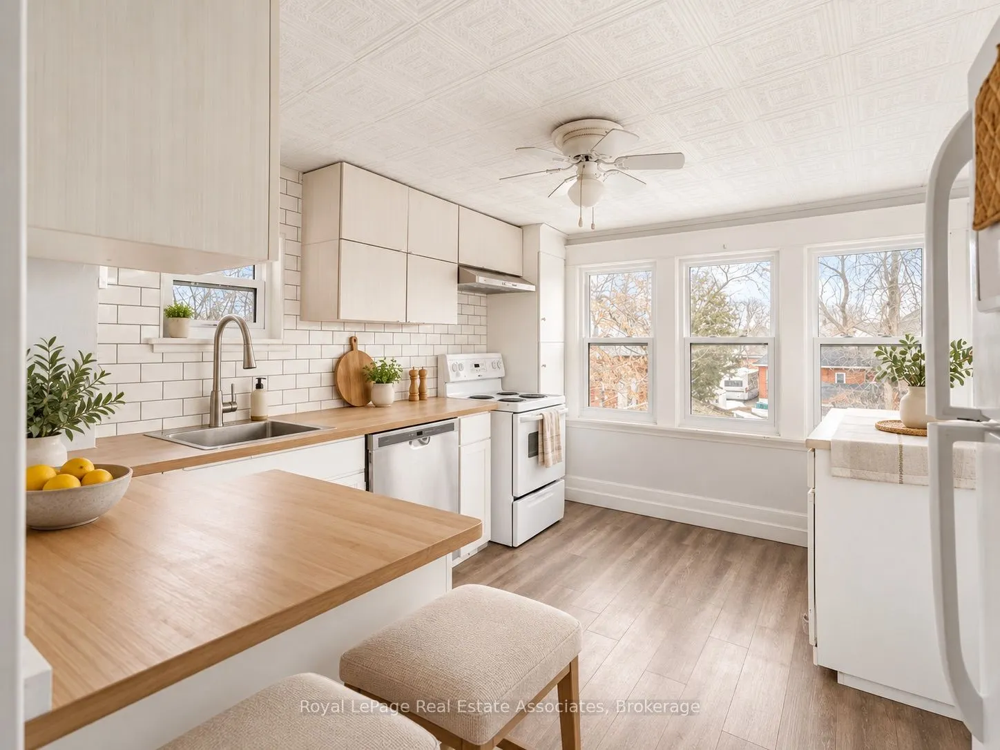 212 Sheridan Street #3
