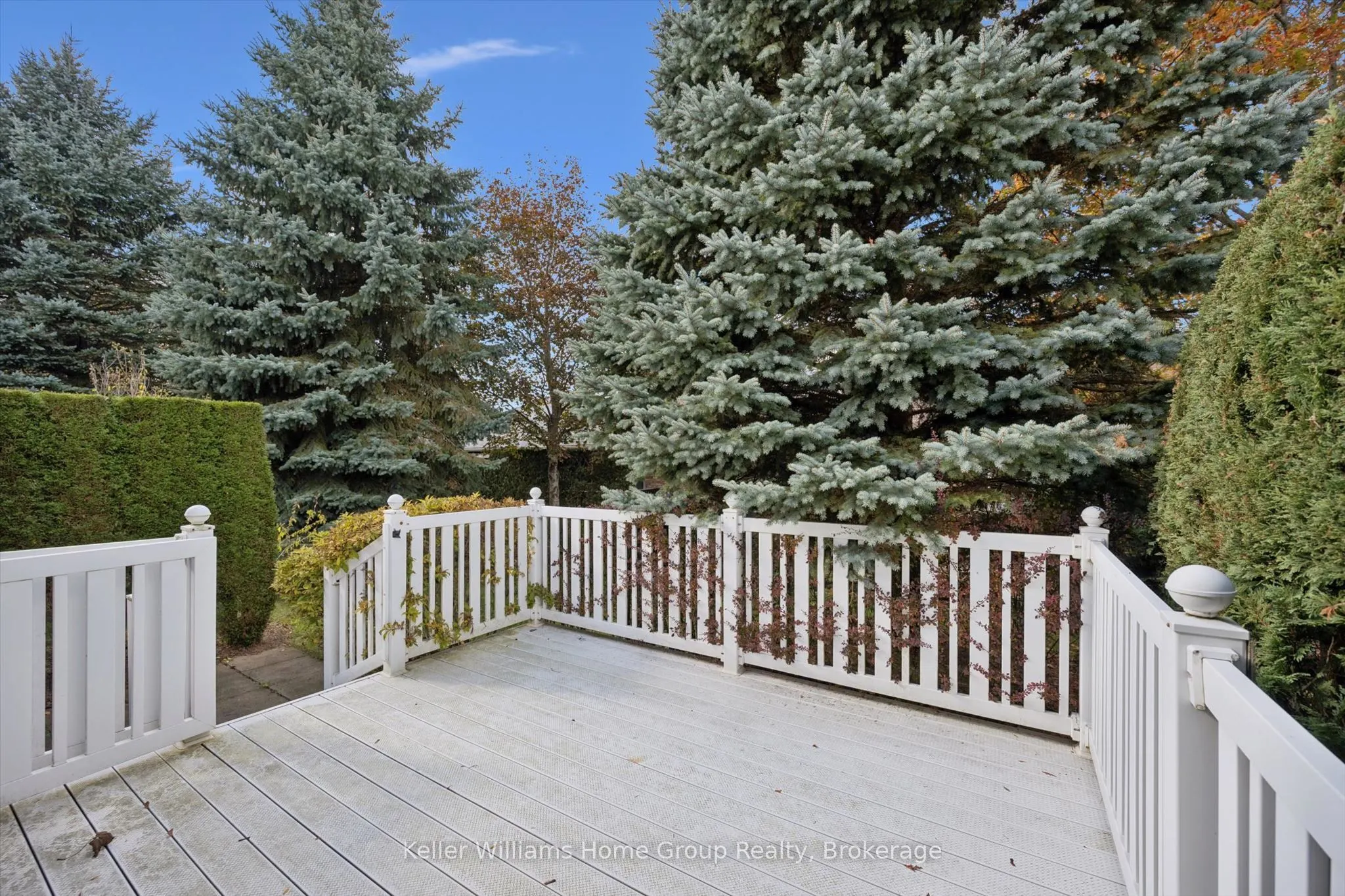 20 Beechlawn Boulevard #1