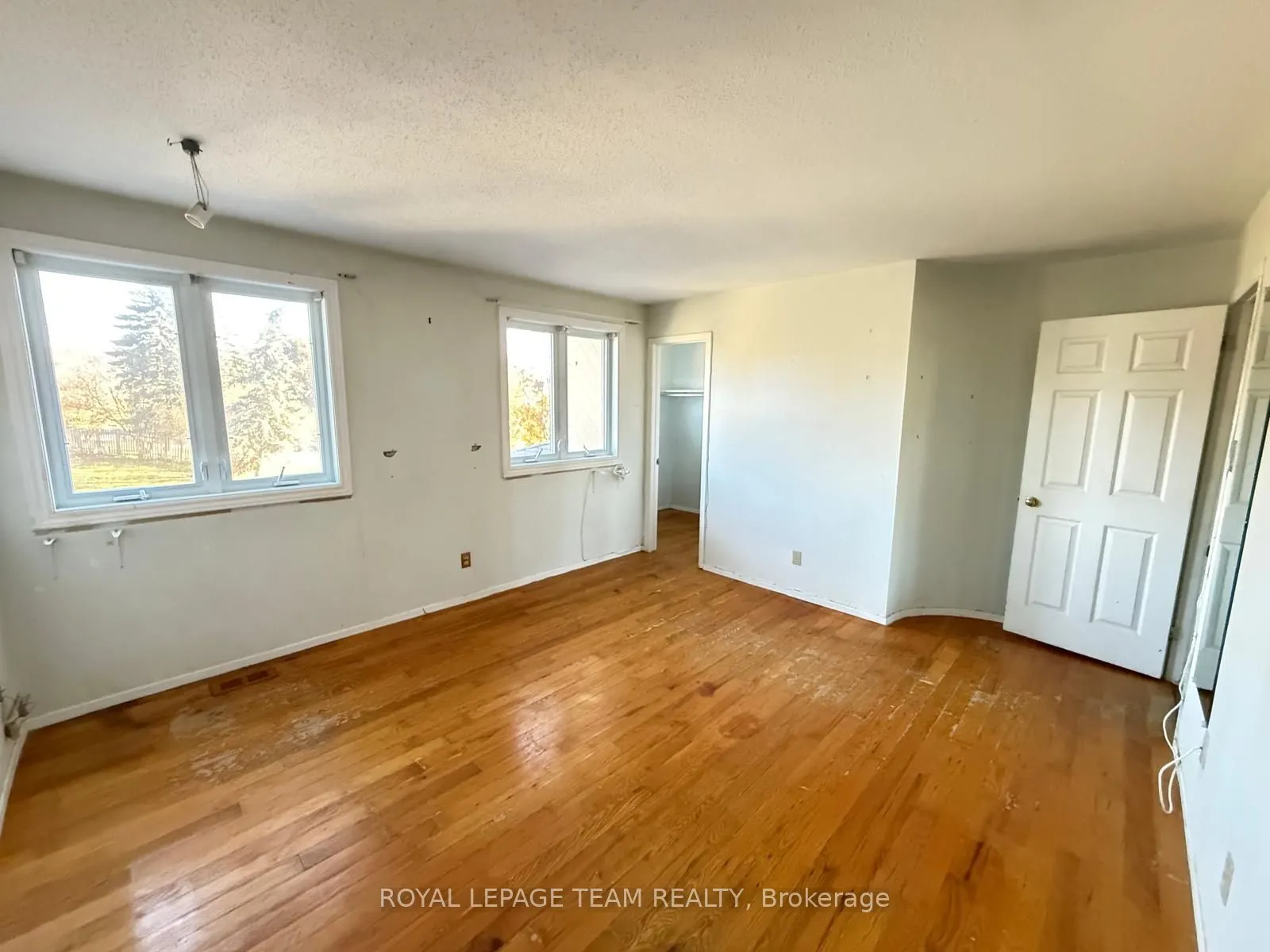 86 HUMMINGBIRD Crescent