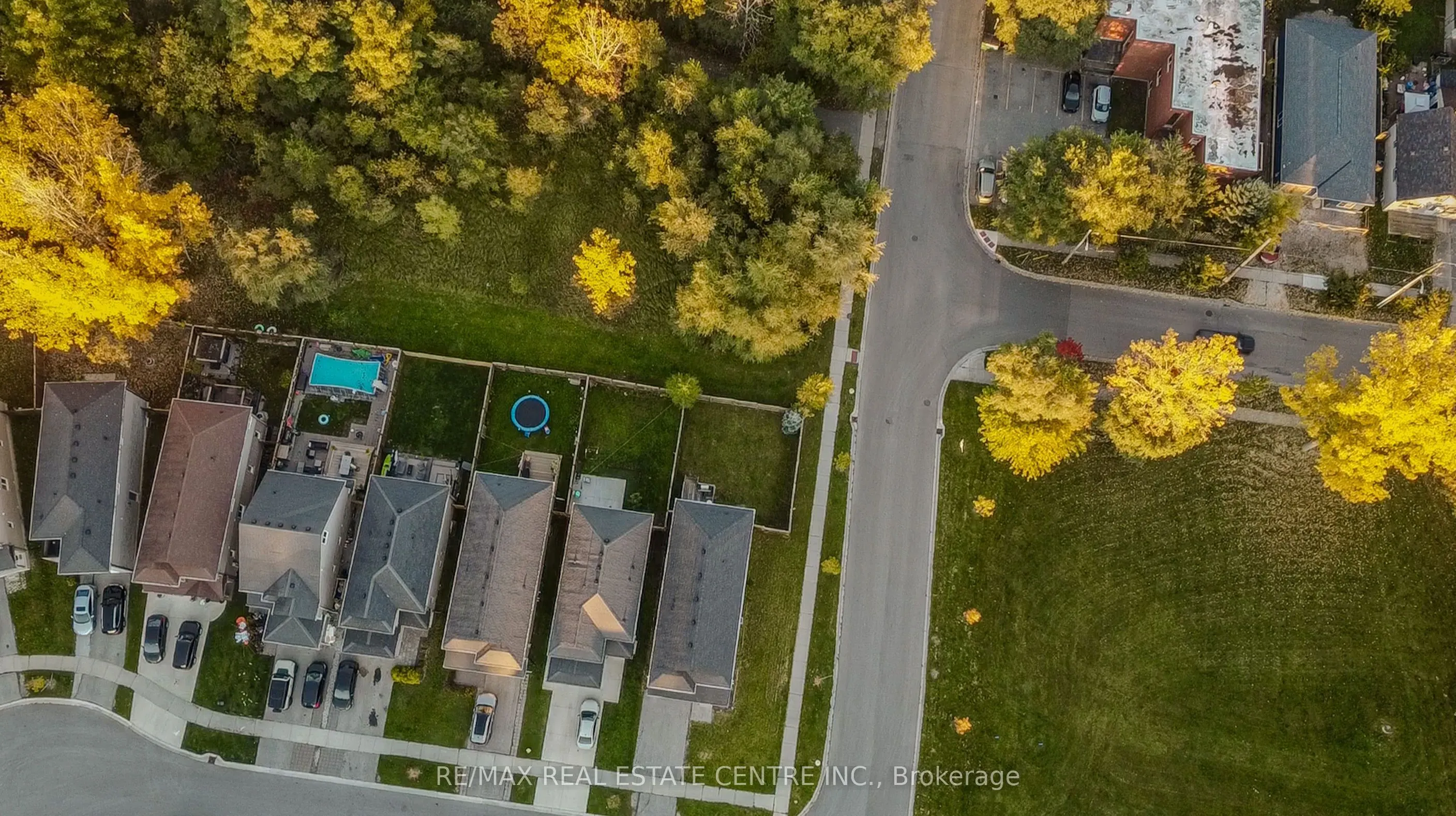91 Yvonne Crescent