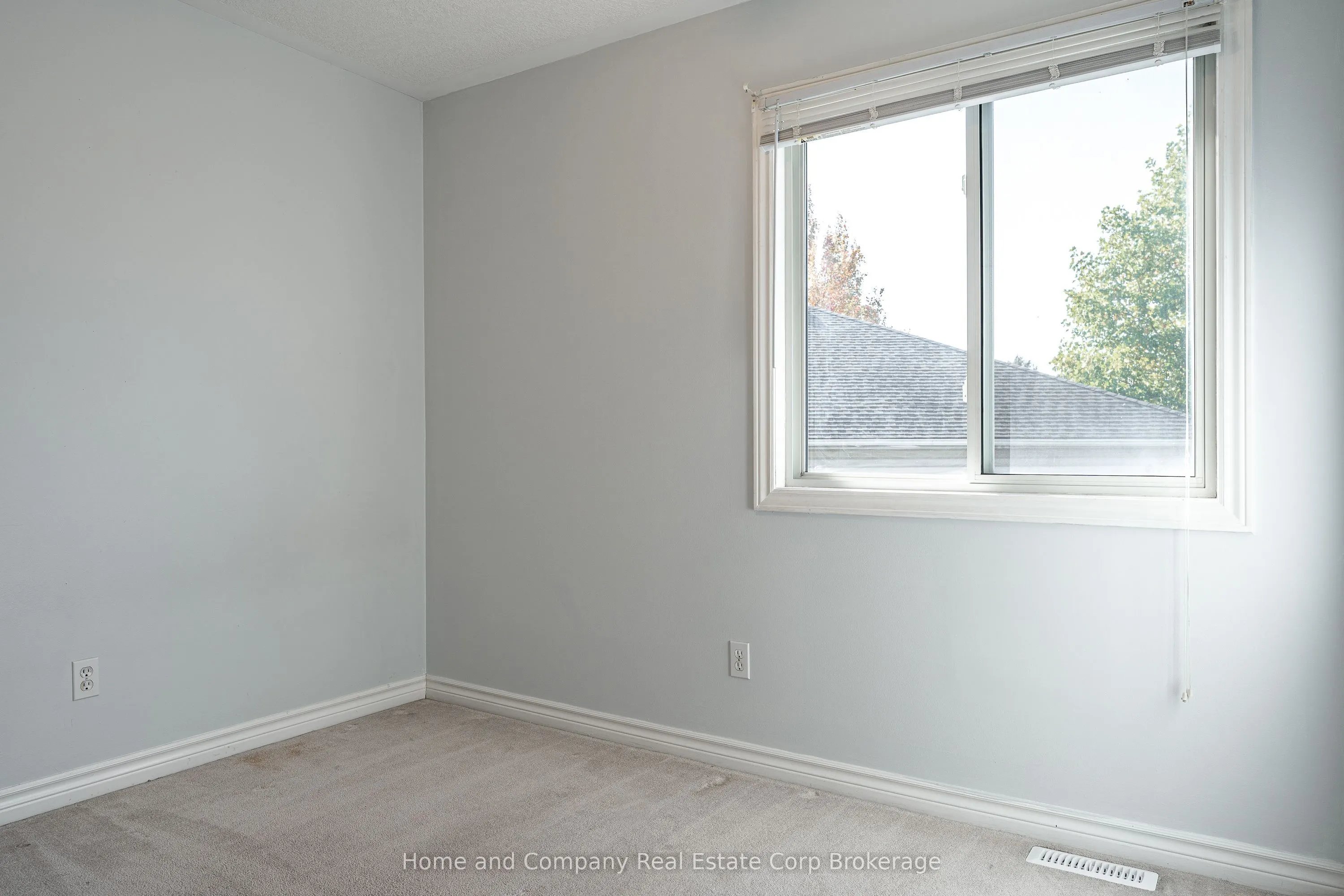 82 Walsh Crescent