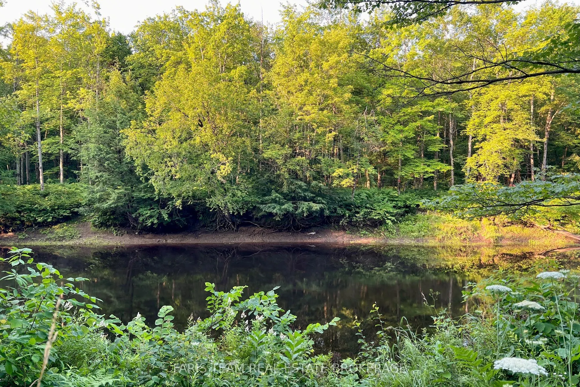 Part Lot 28 Concession 12 Black River Road