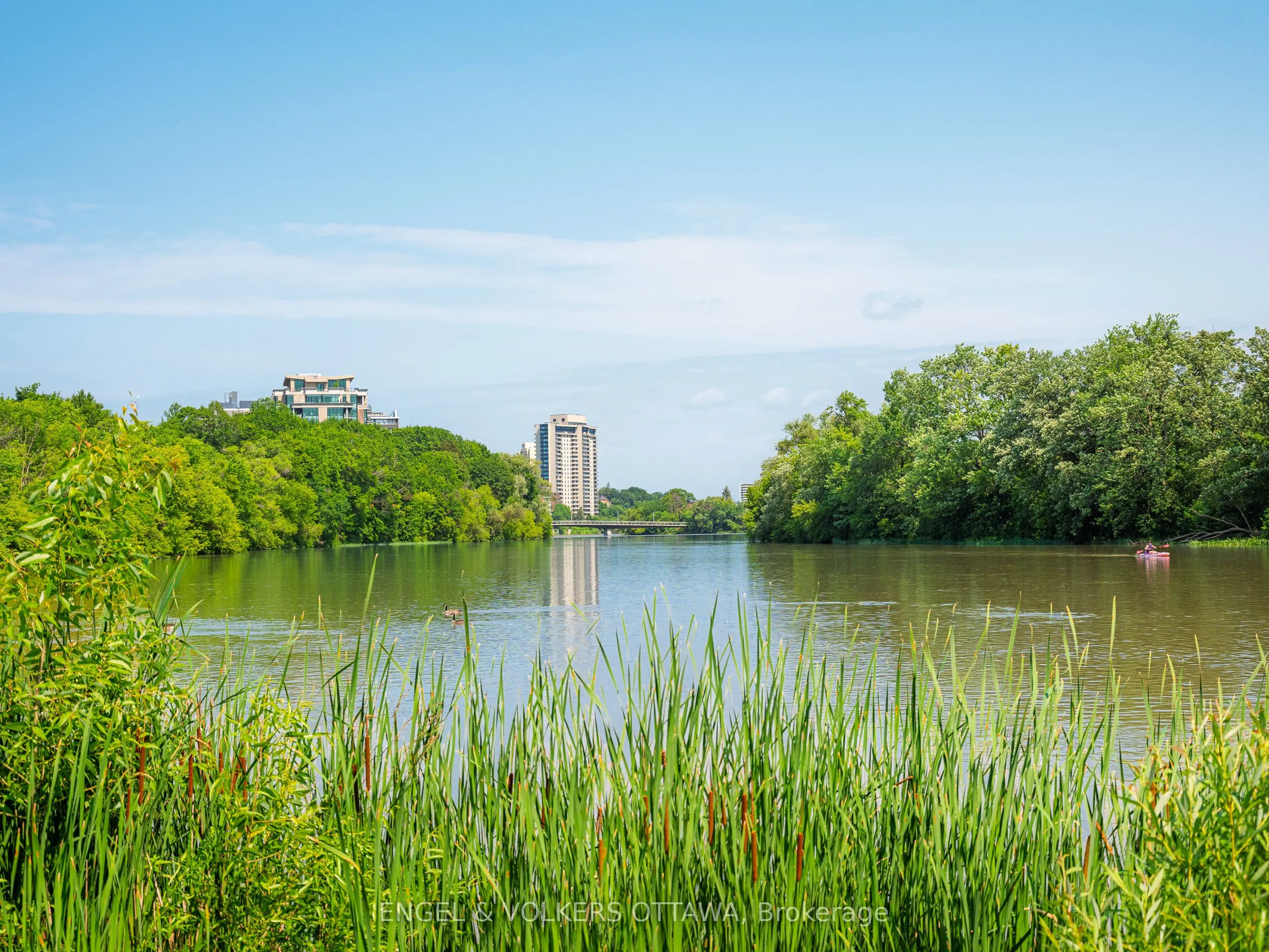 35 Robinson Avenue #B