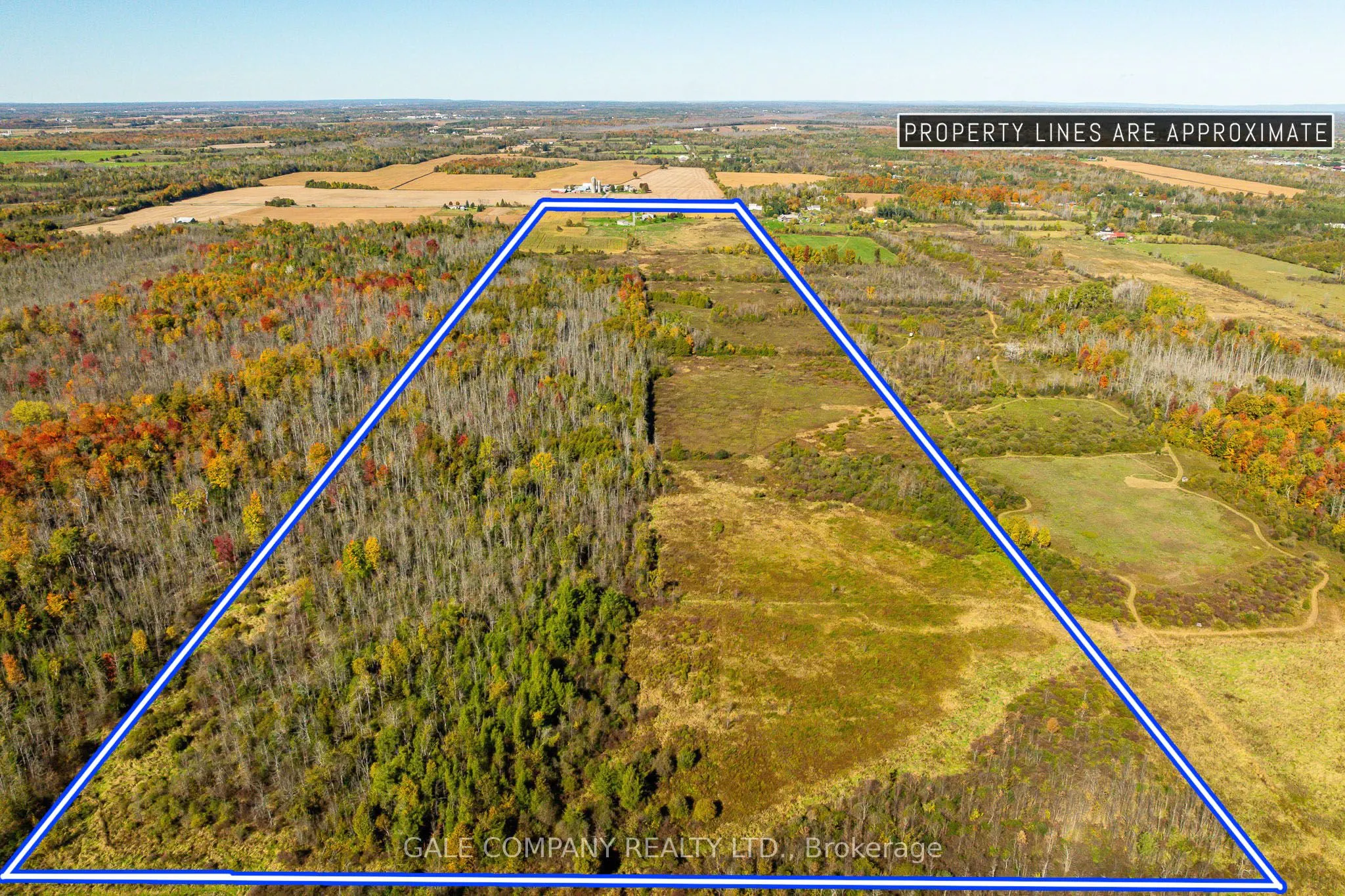 8772 McLinton Road