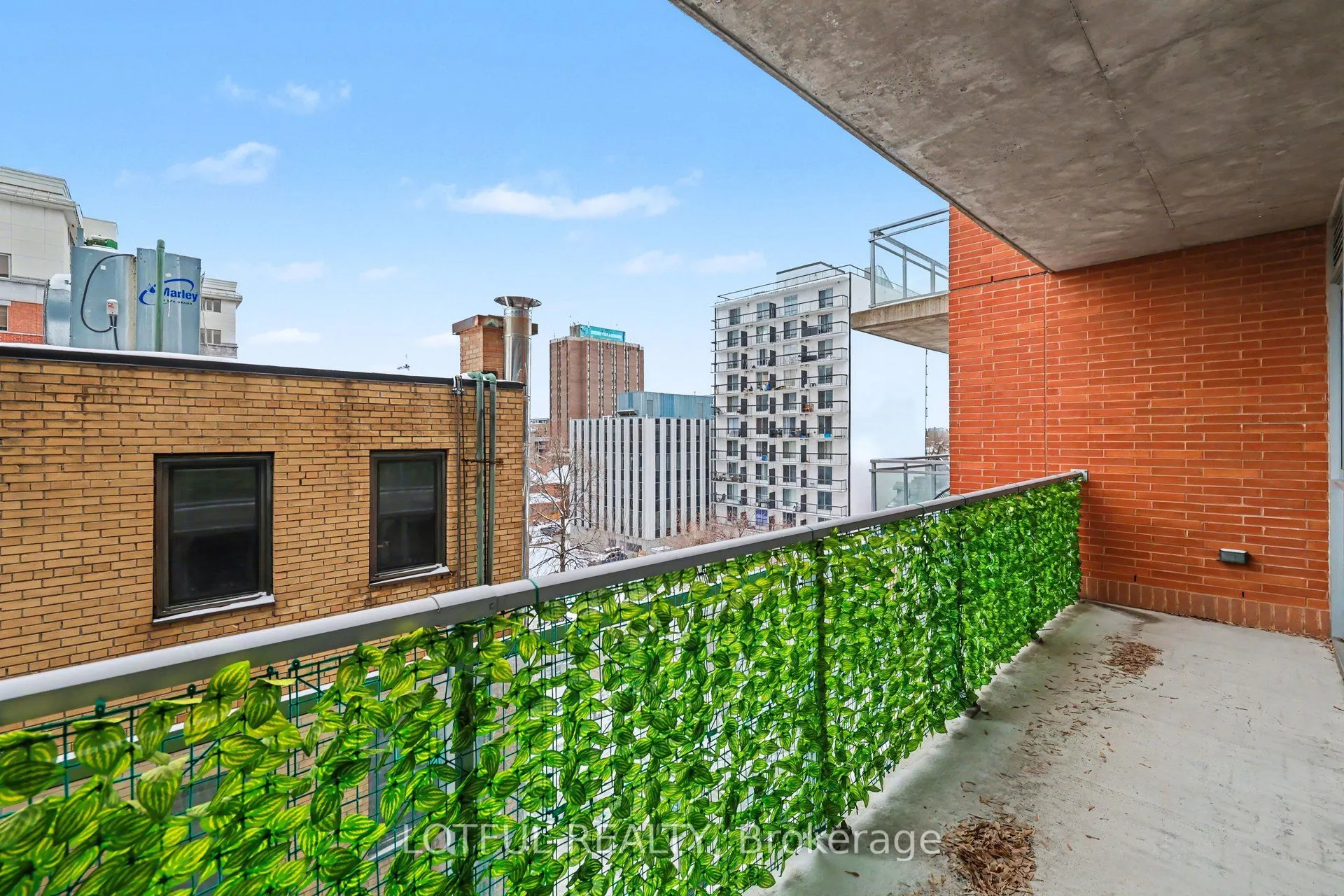 340 Mcleod Street #544