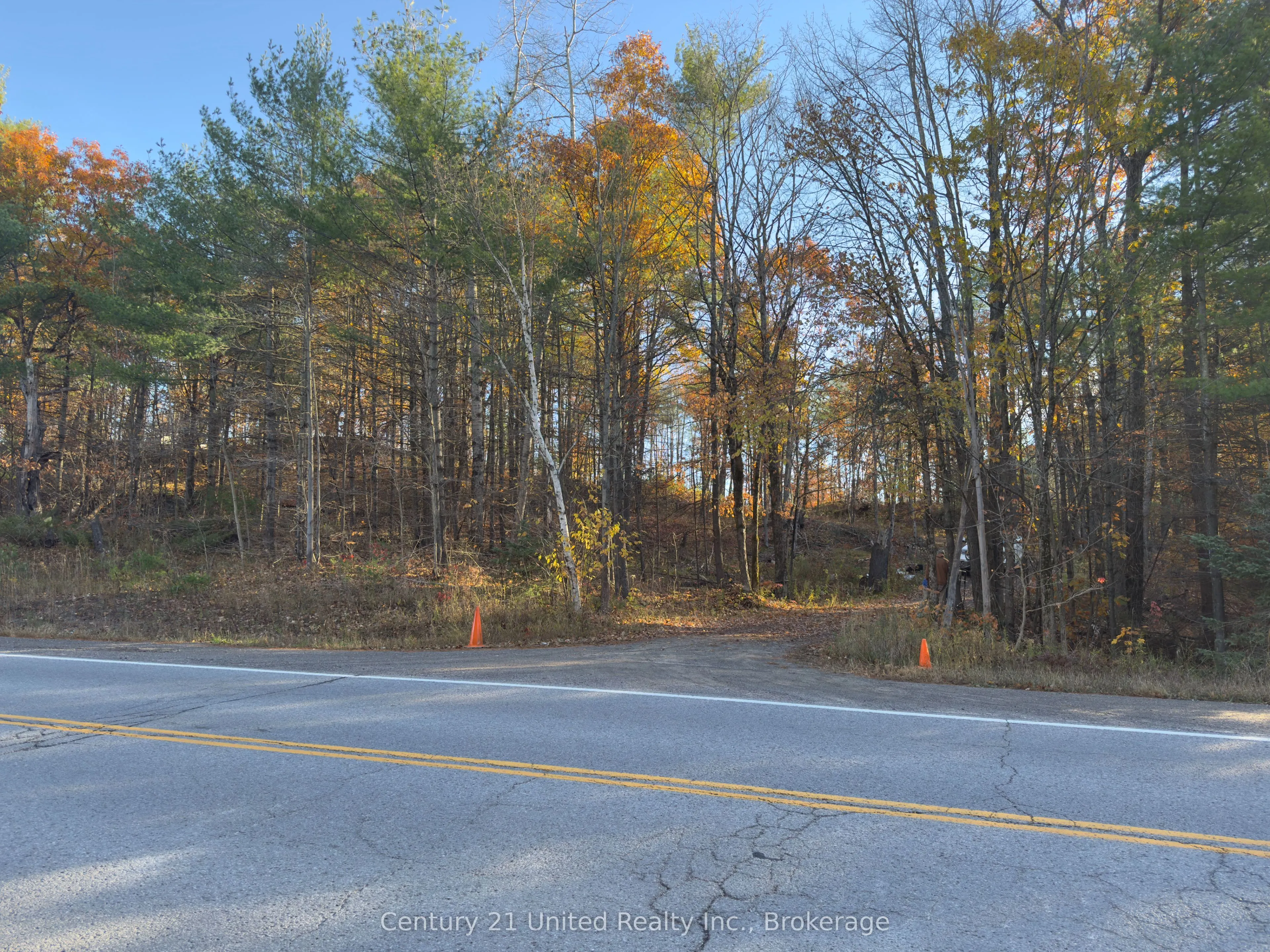 3337 County Rd 46