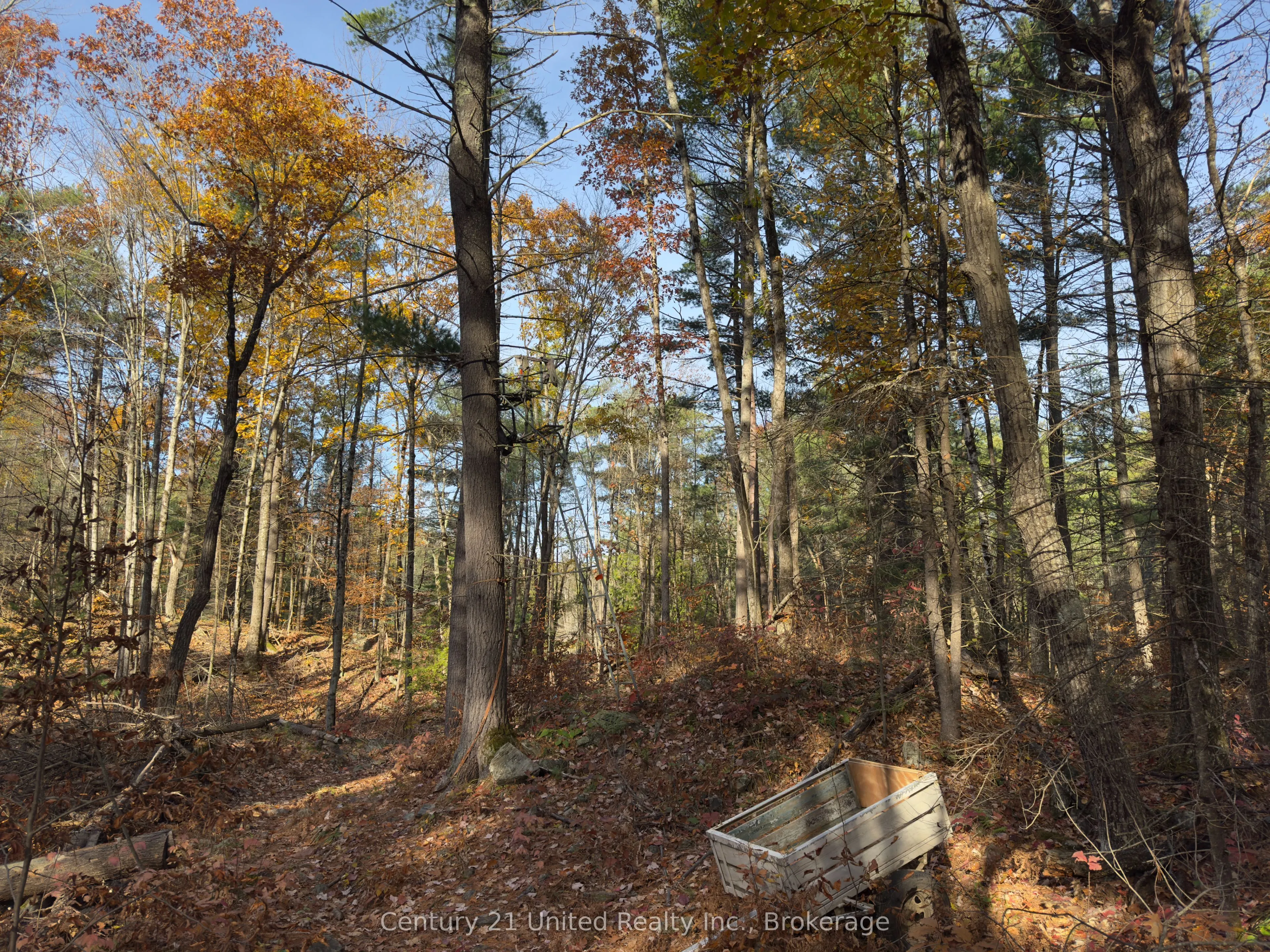 3337 County Rd 46