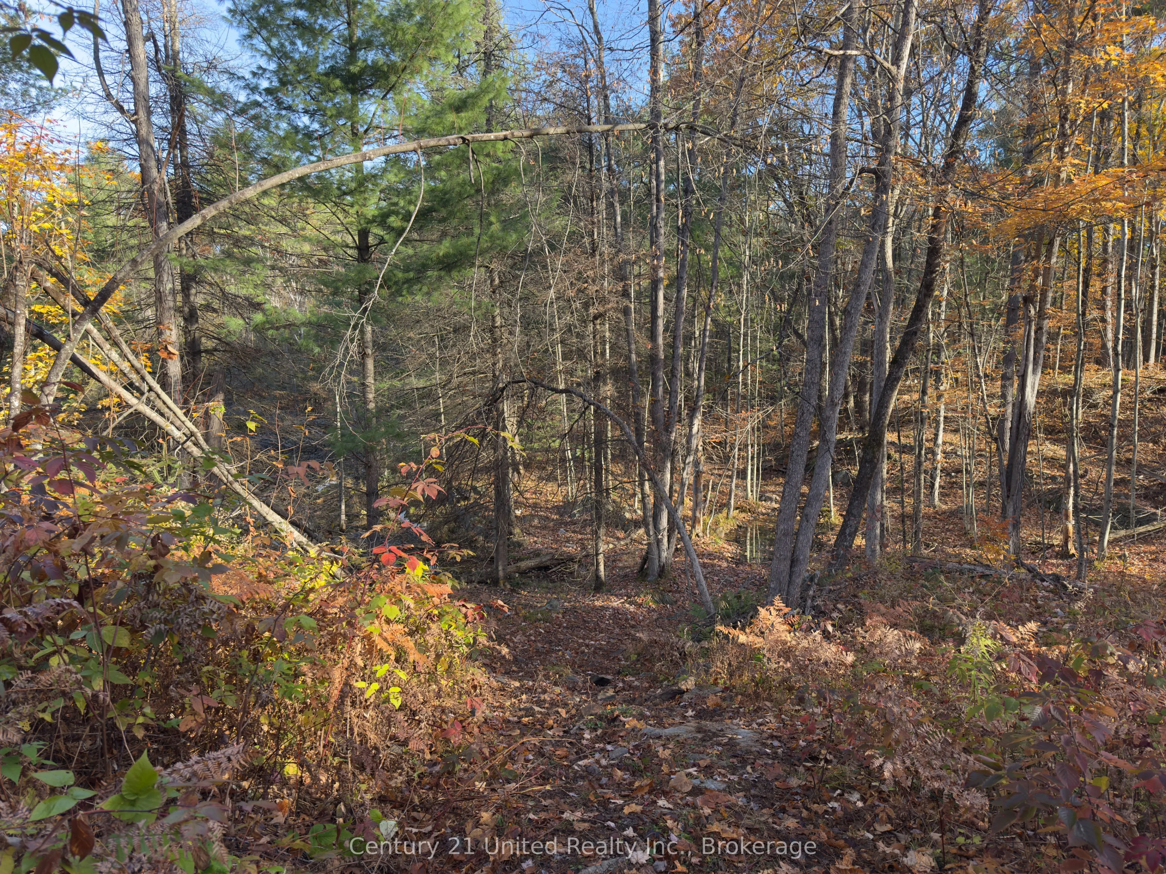 3337 County Rd 46