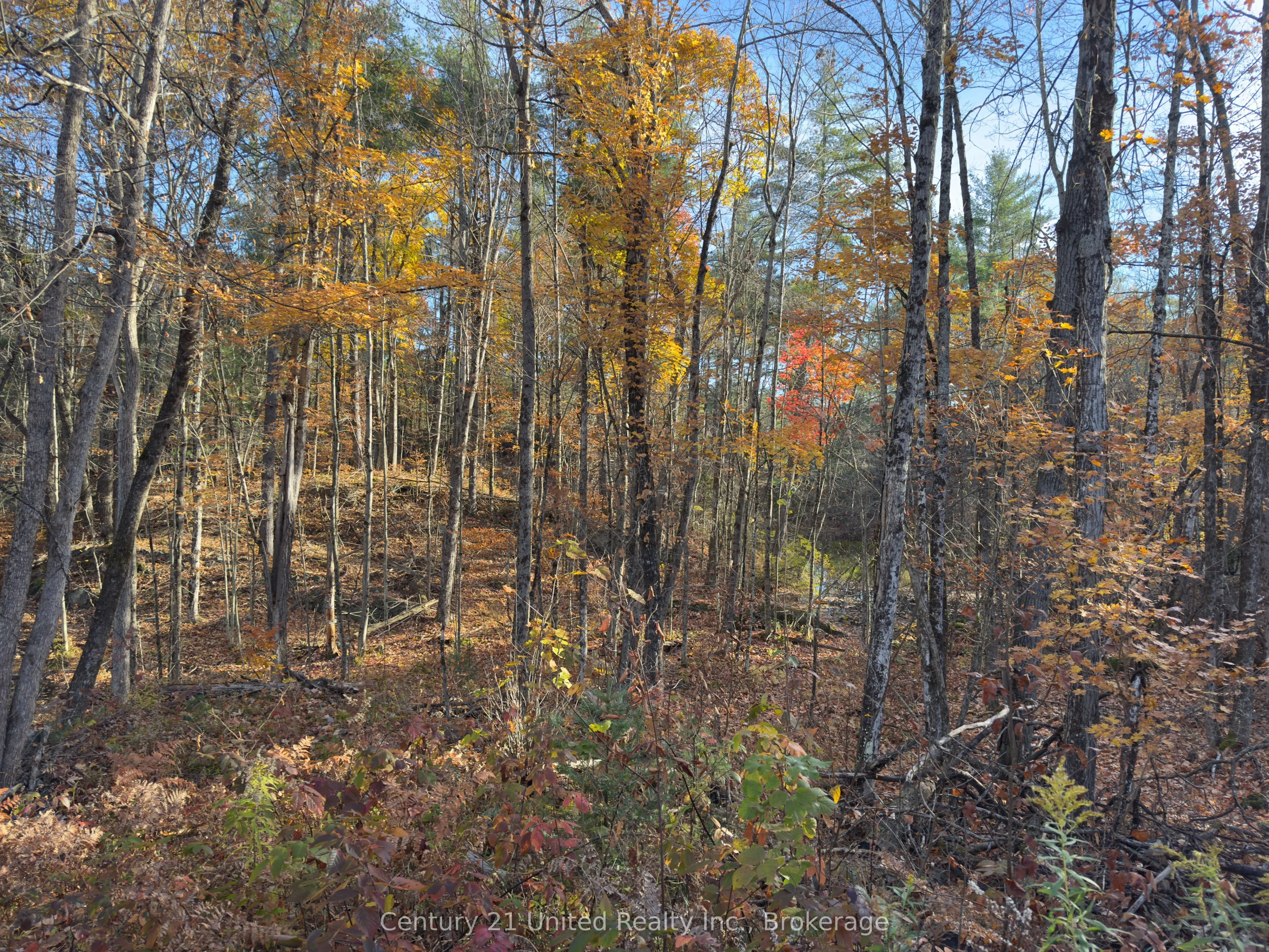 3337 County Rd 46