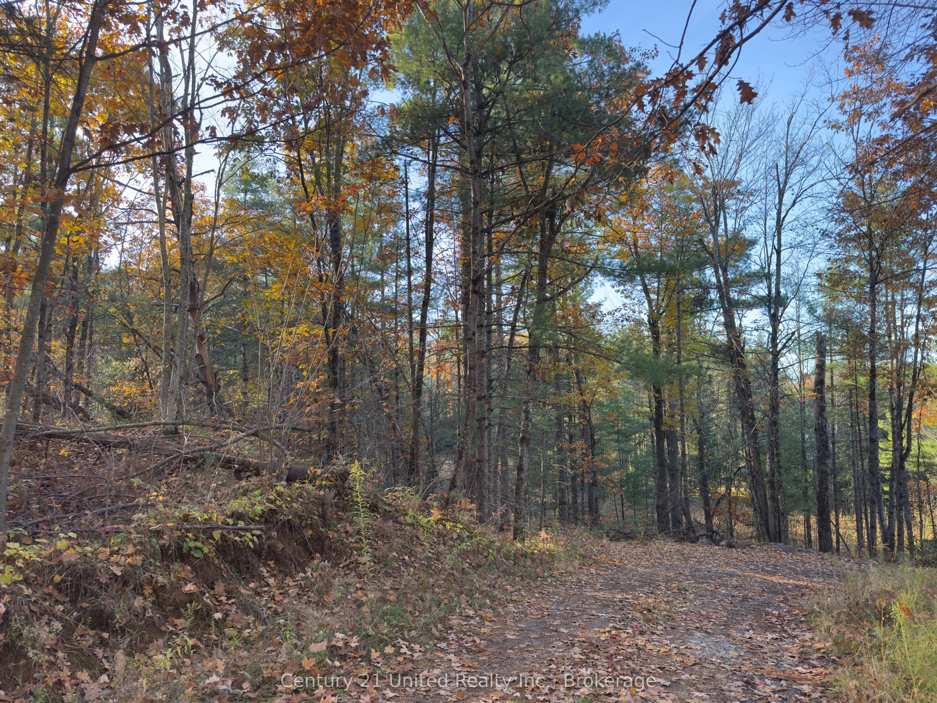 3337 County Rd 46