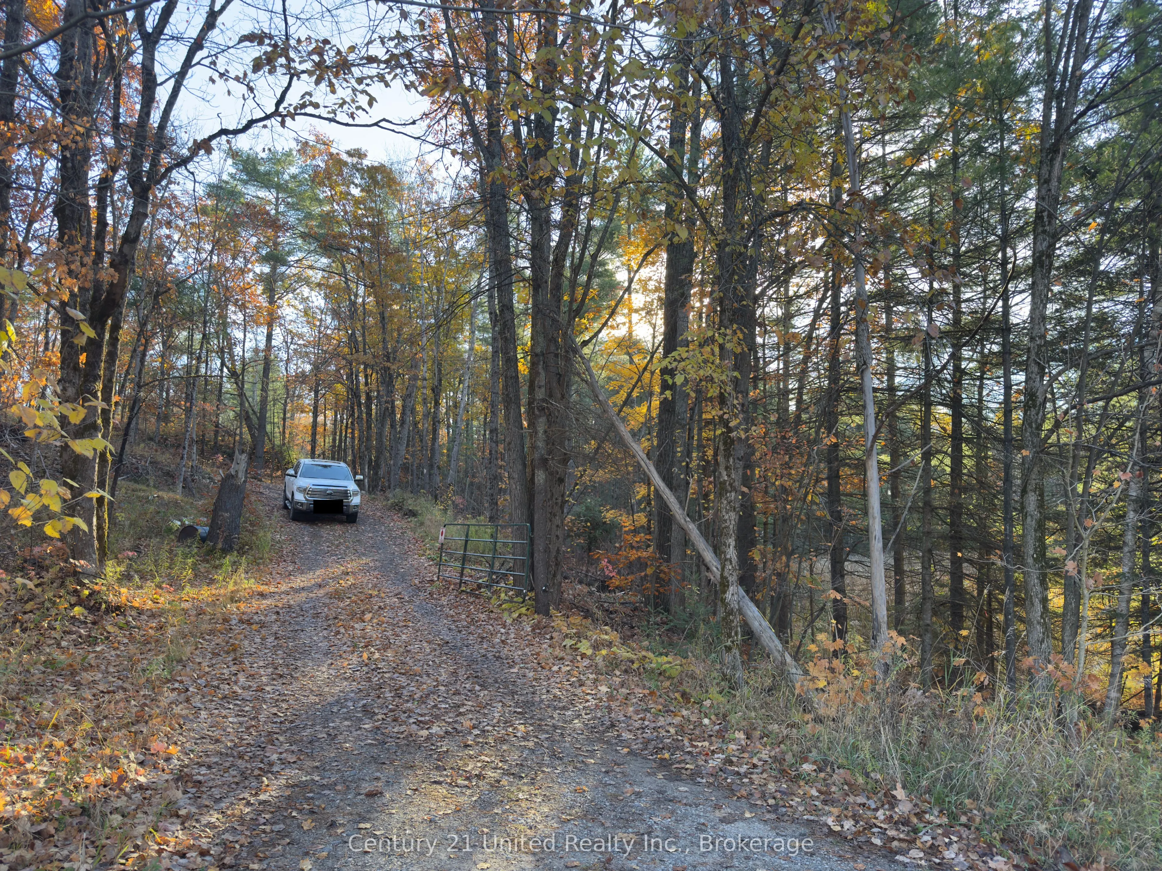 3337 County Rd 46