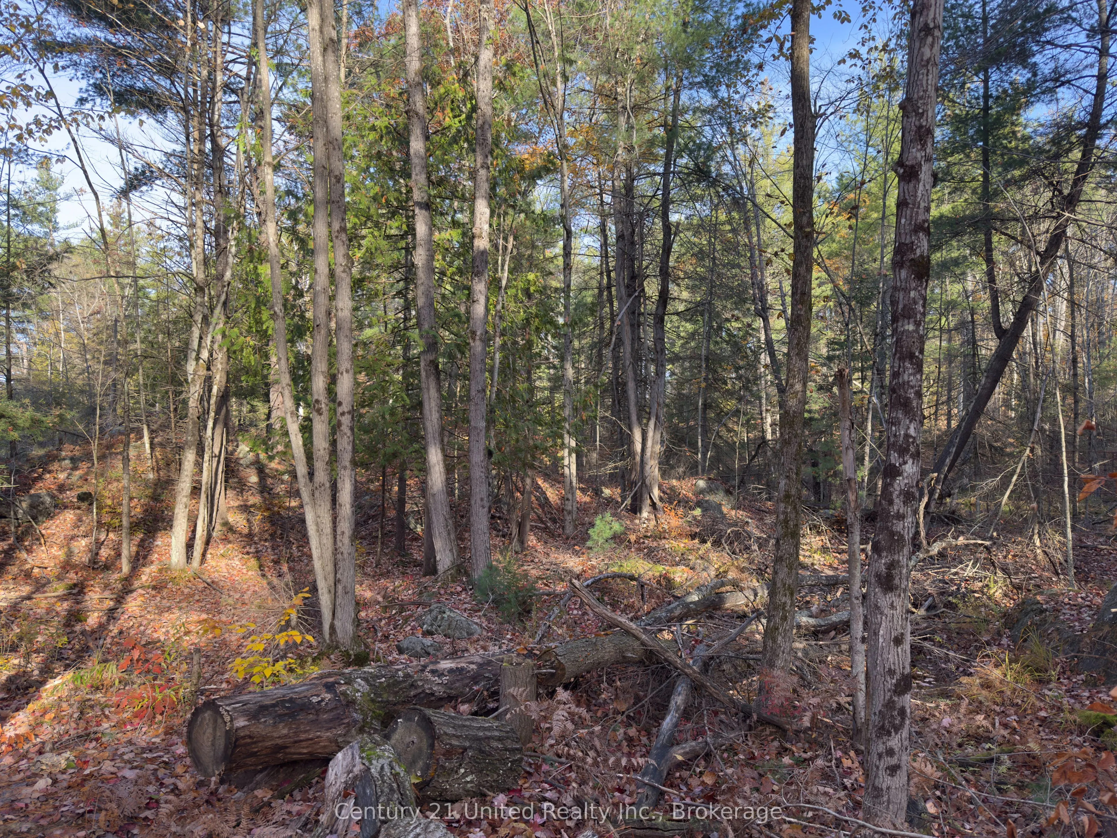 3337 County Rd 46