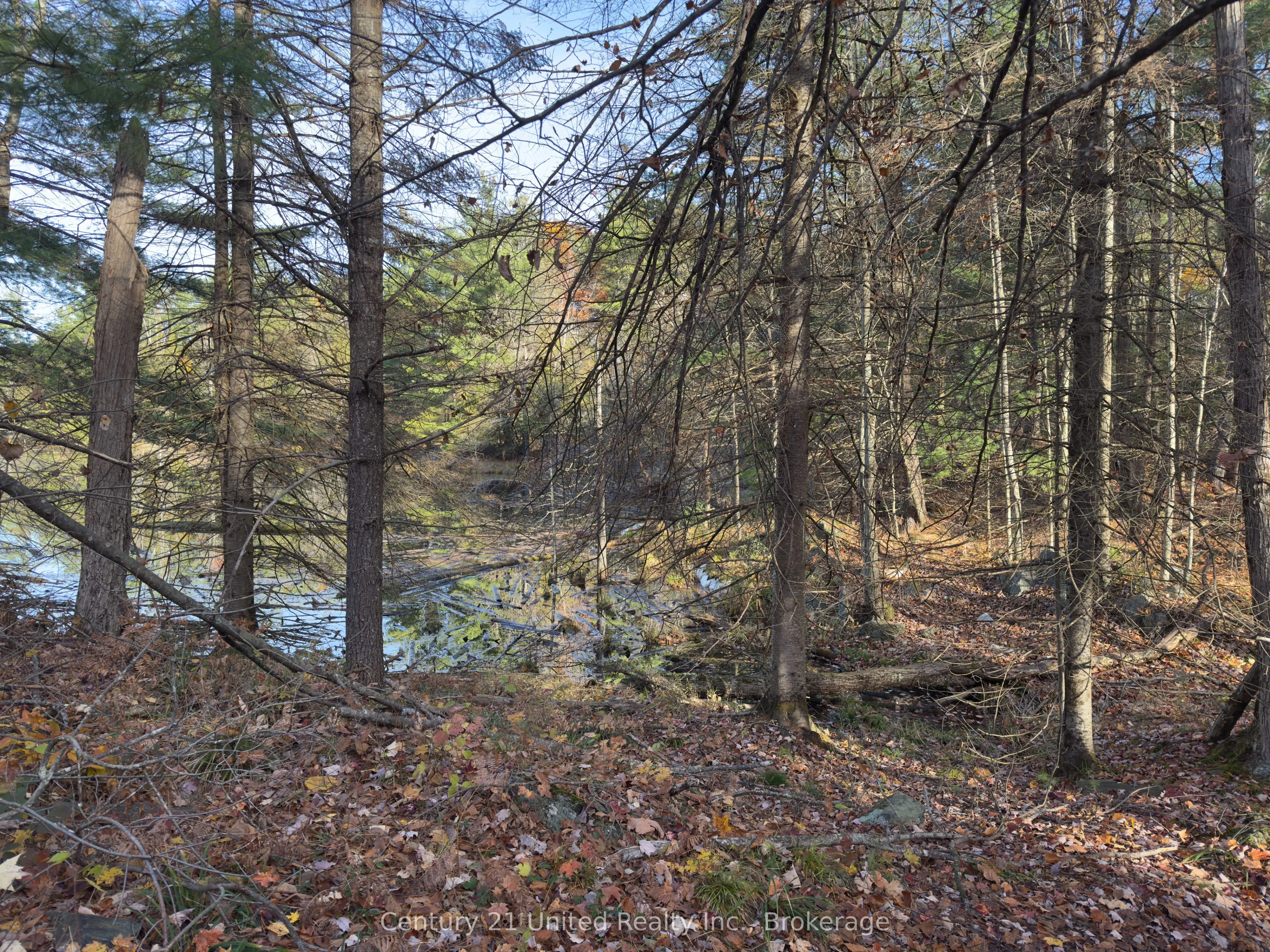 3337 County Rd 46