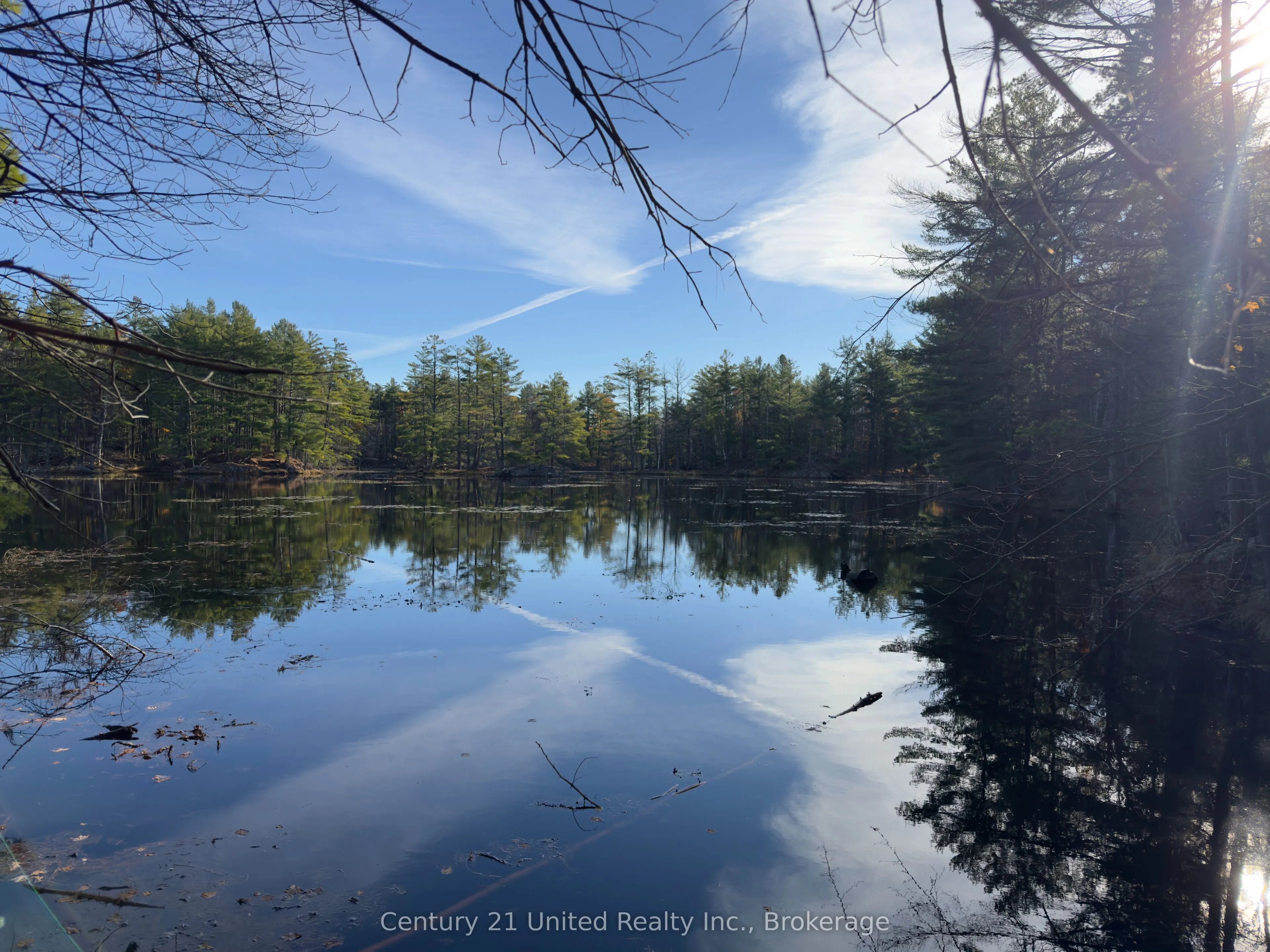 3337 County Rd 46