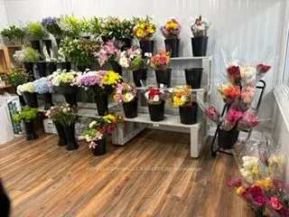 139 George Street N #6