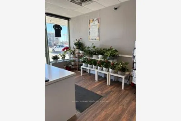 139 George Street N #6