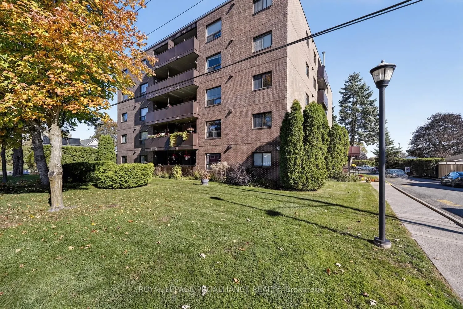 95 Windsor Drive #303
