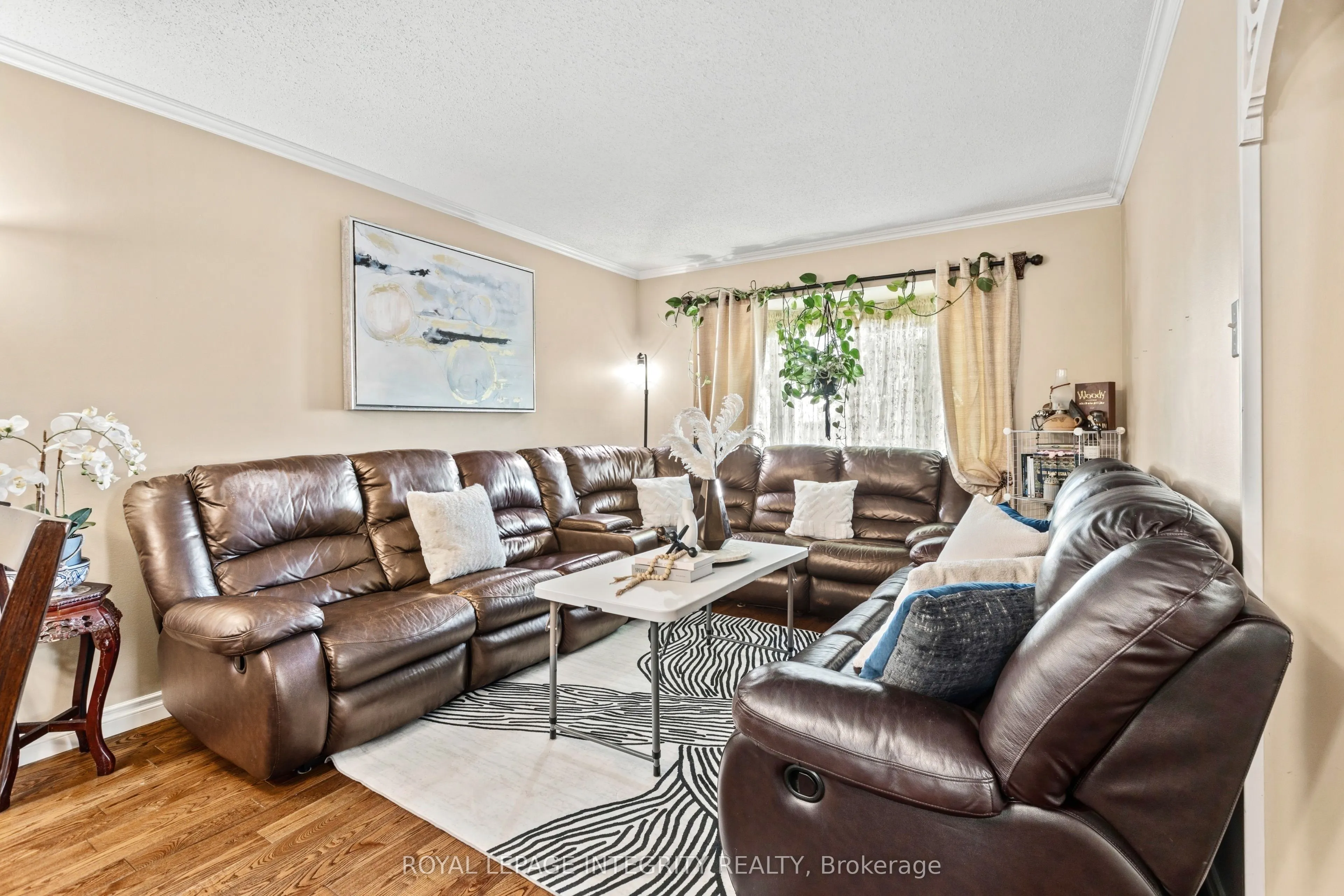 17 Constable Street