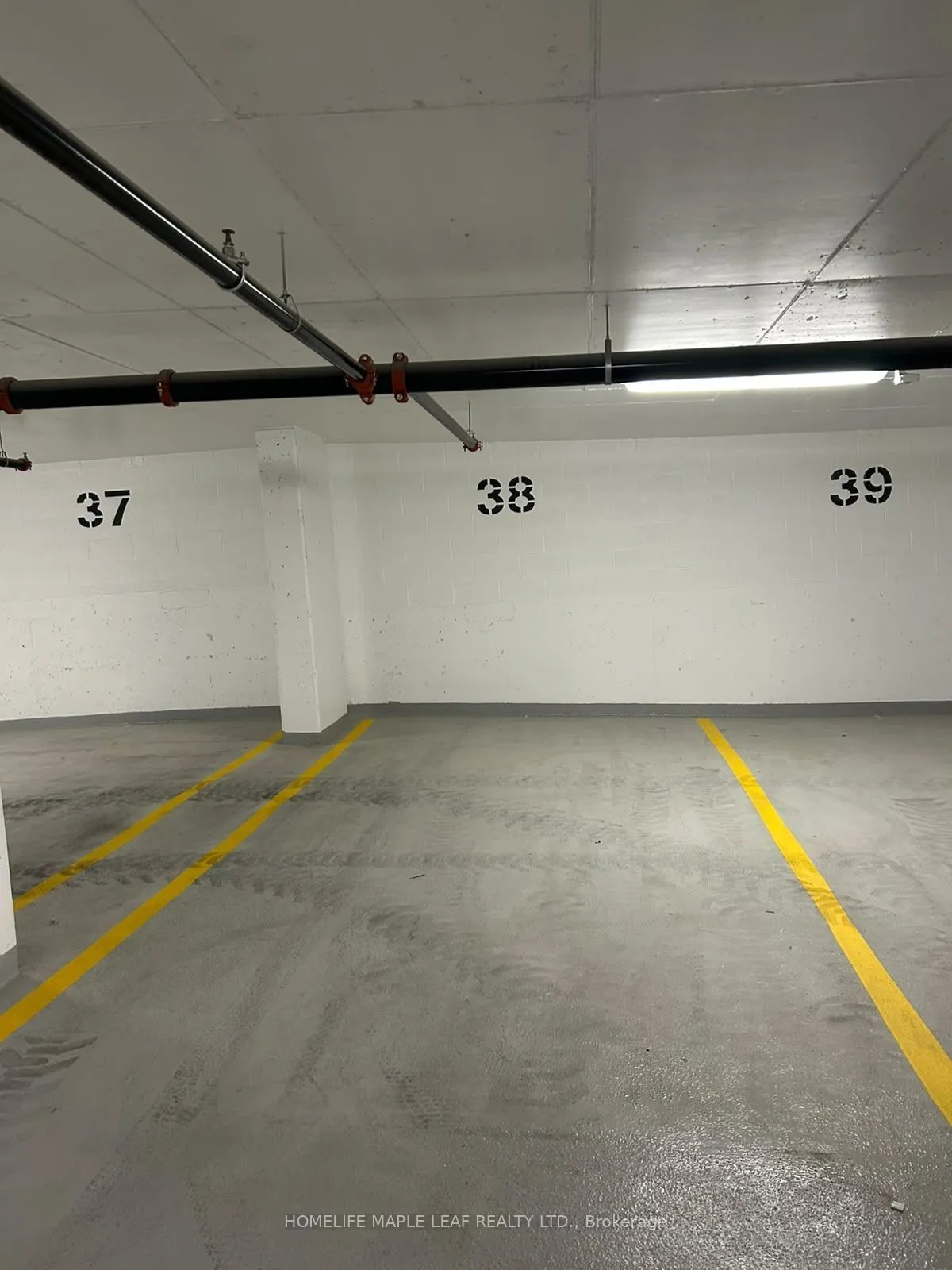 30 Francis Street #2308