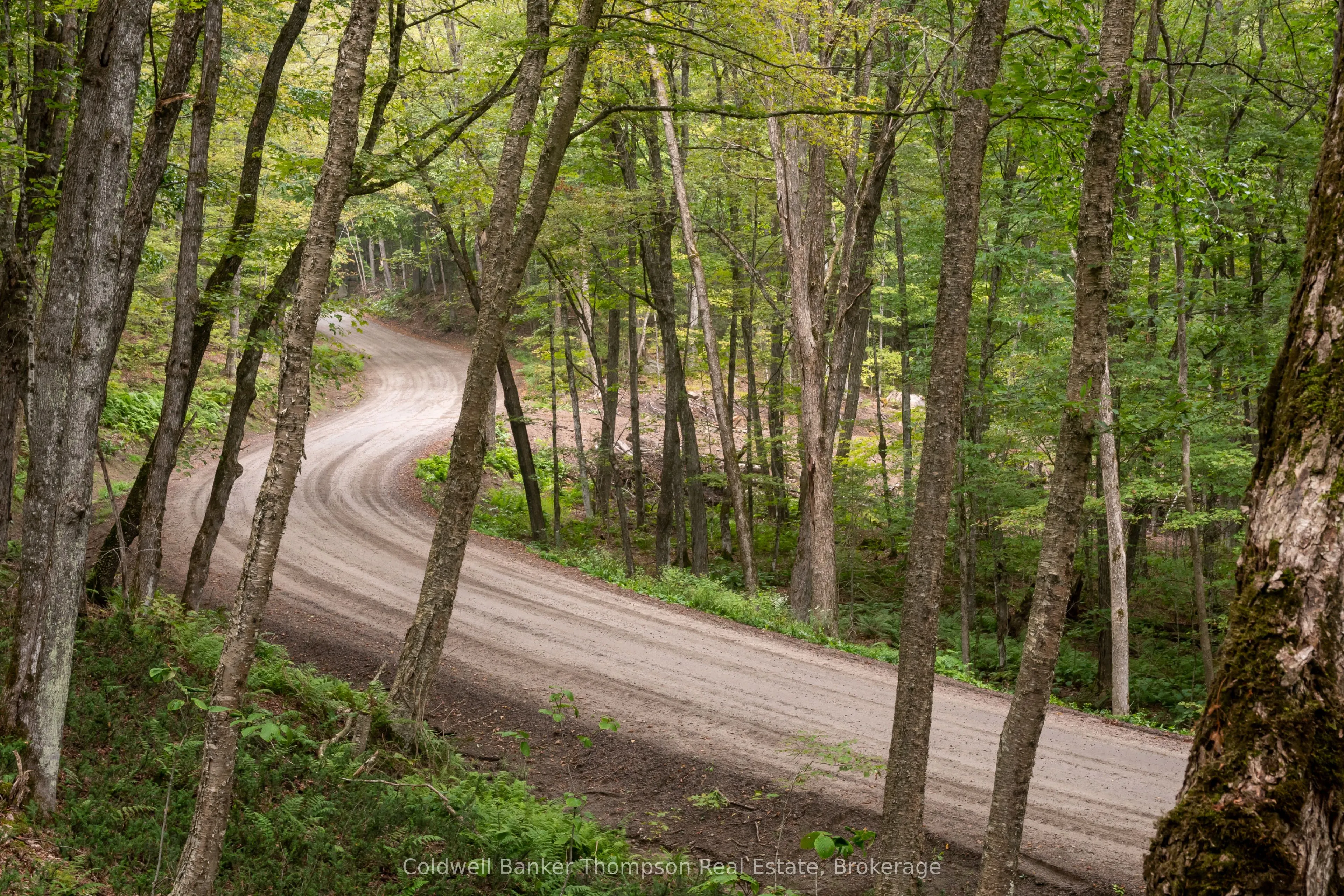 Lot 4 Emsdale Lake Road