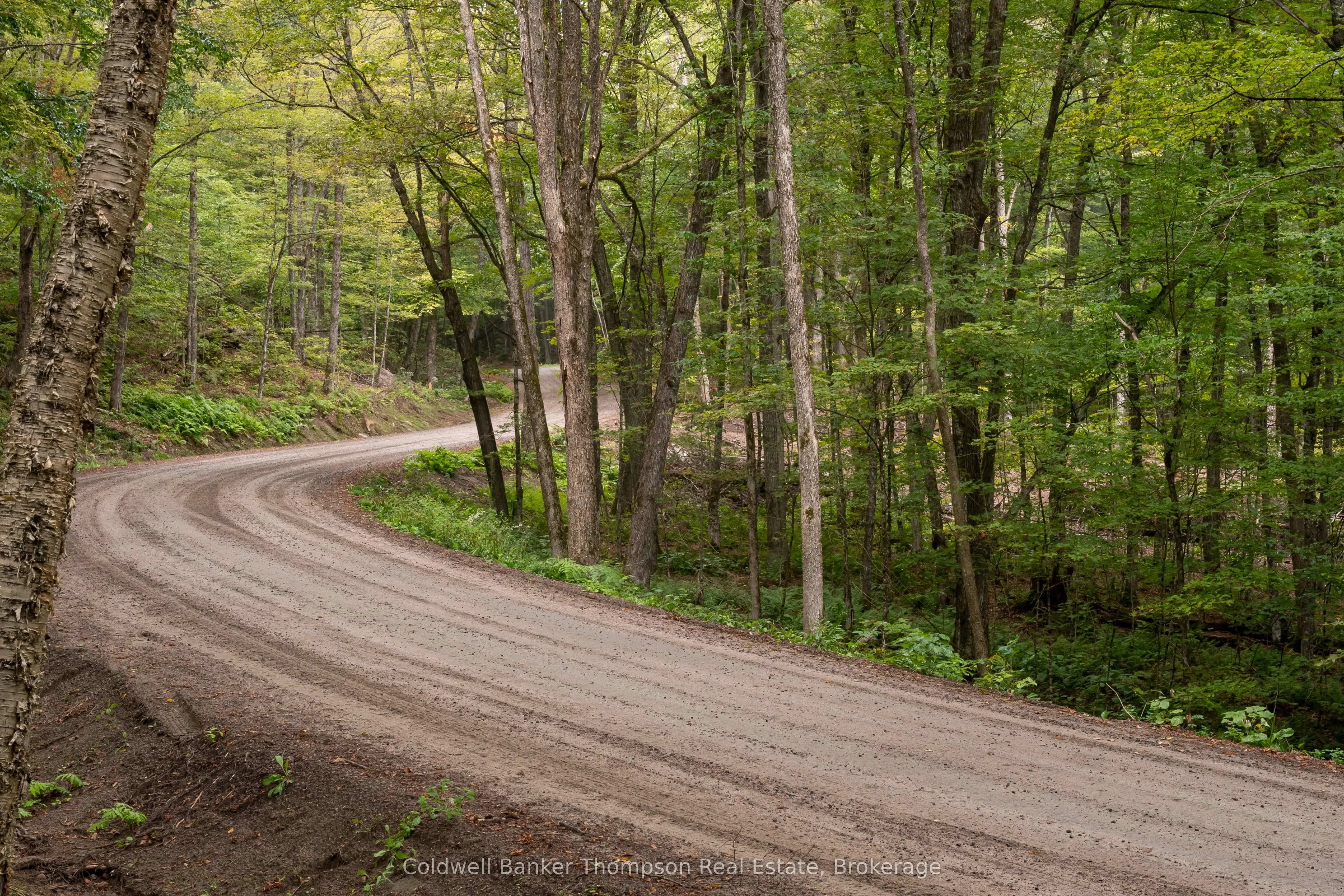 Lot 4 Emsdale Lake Road