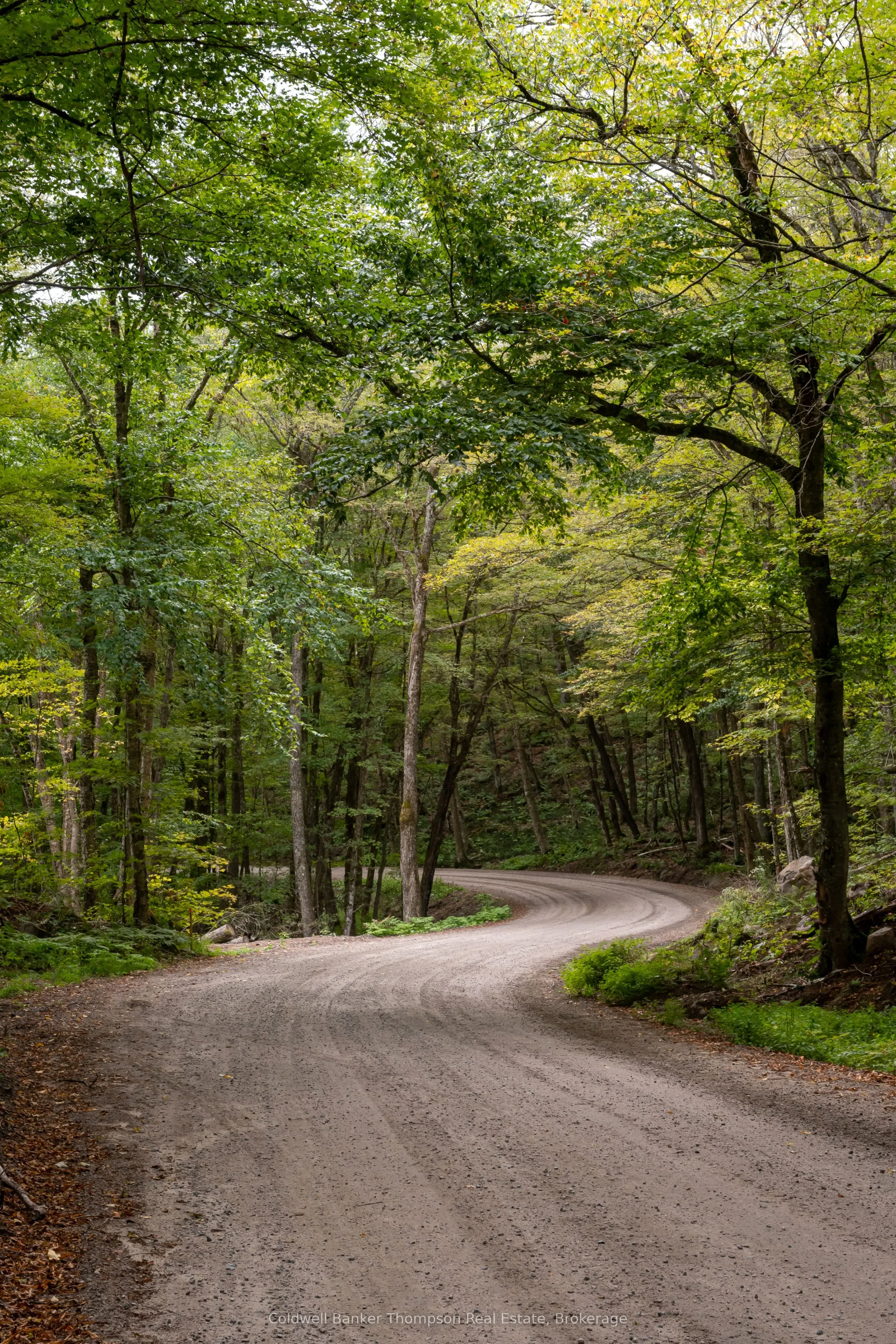 Lot 4 Emsdale Lake Road
