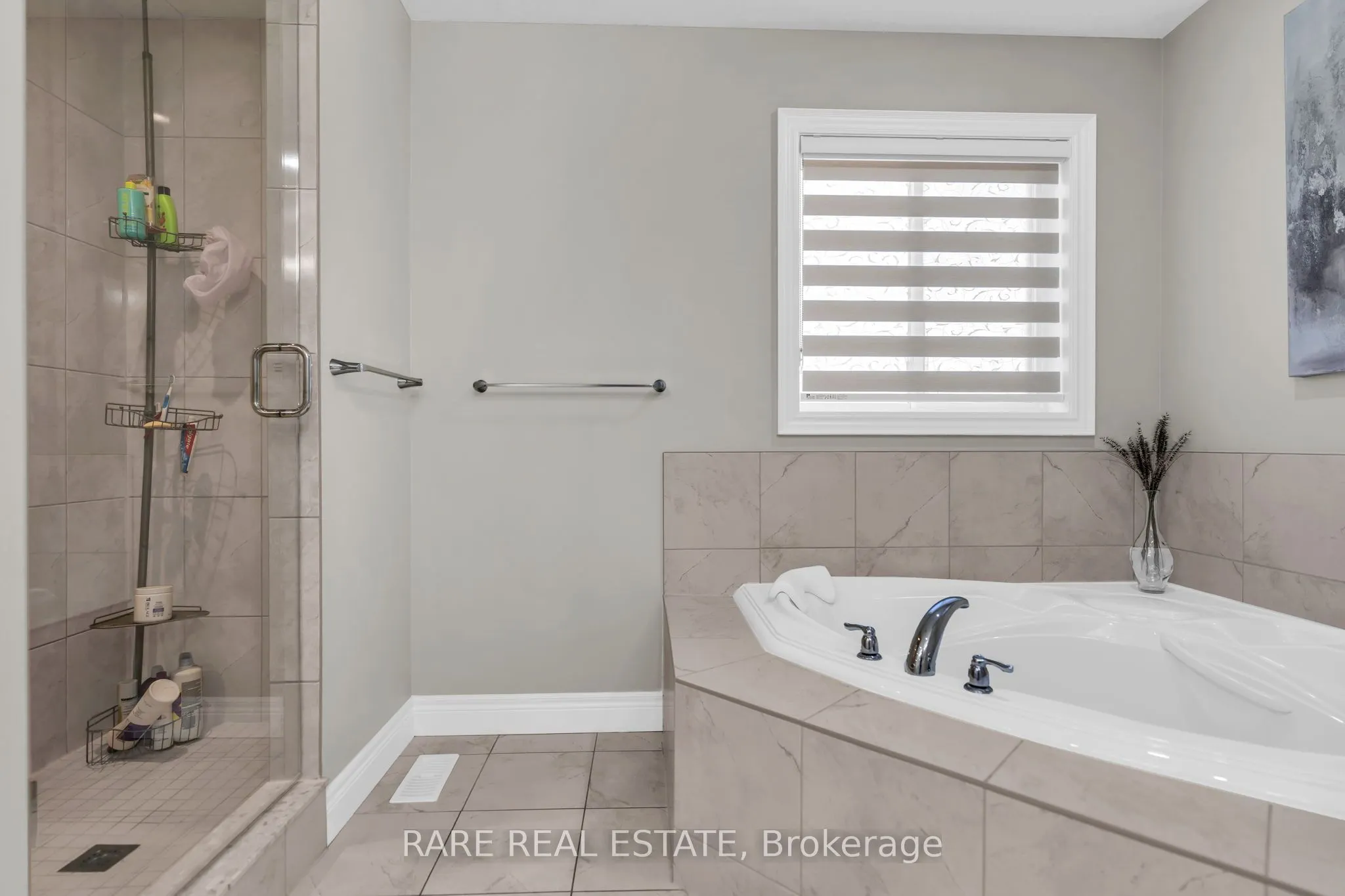 753 Pasture Rose Street