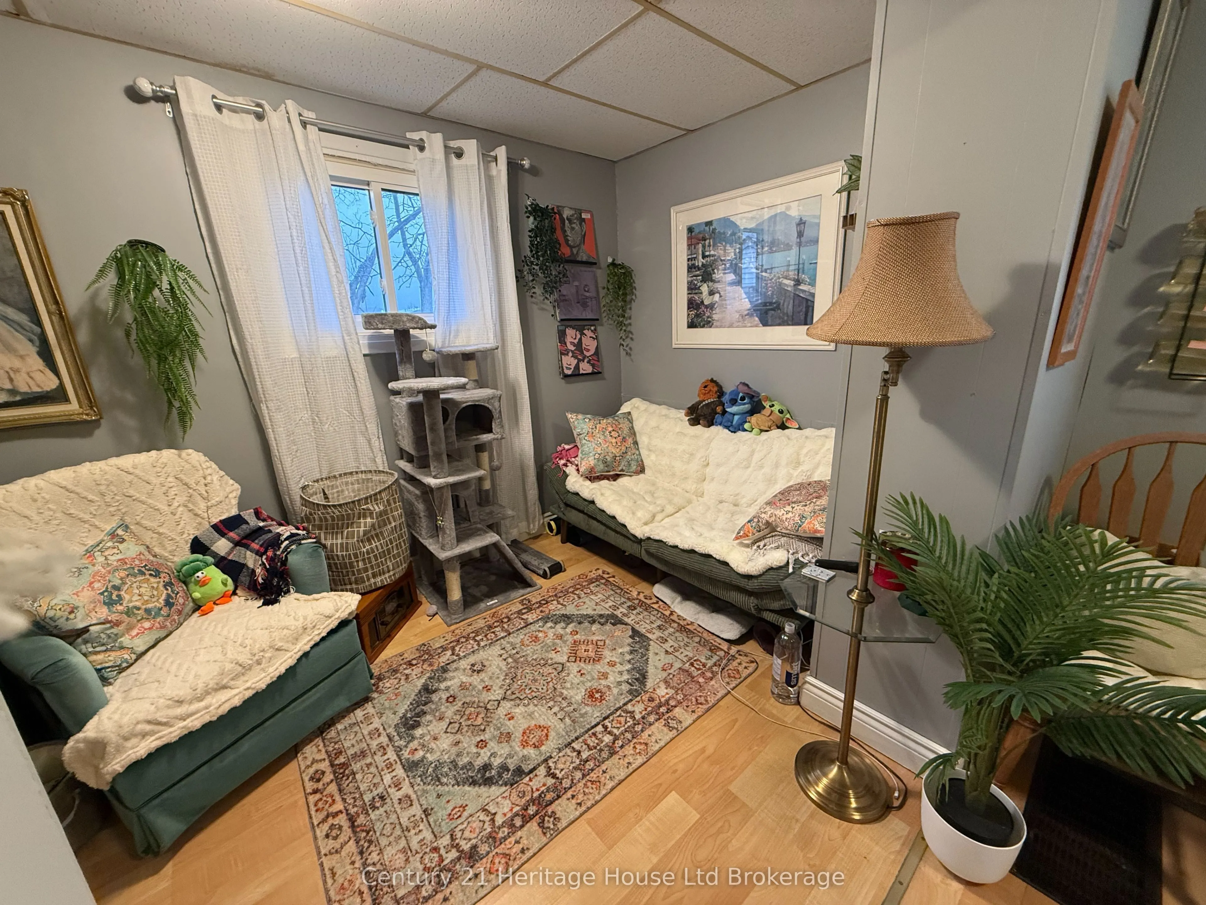 81 Givins Street