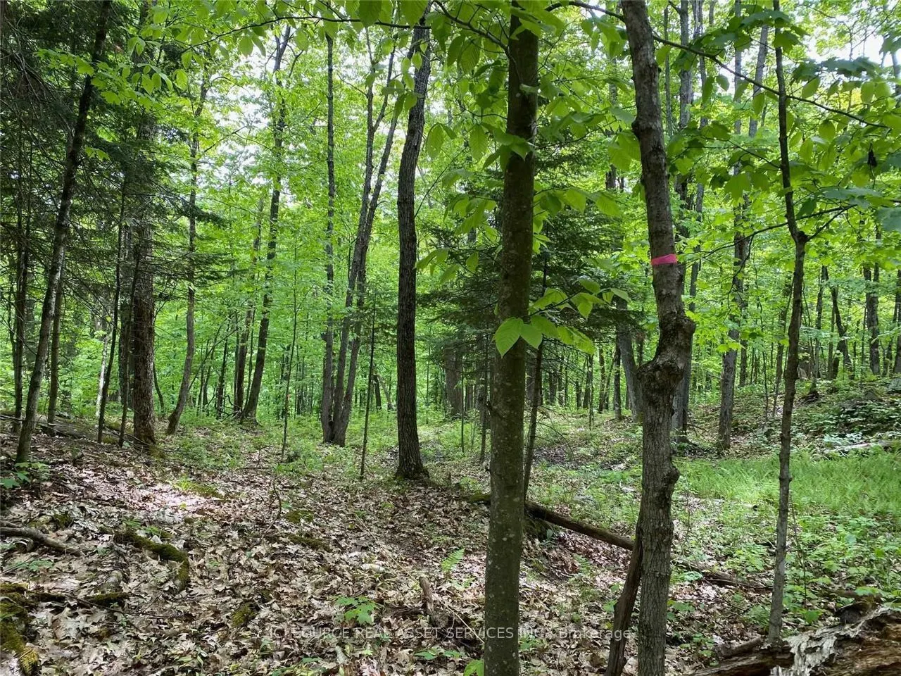 933 Ferguson Road