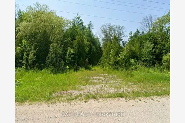 19442 Highway 6 Highway