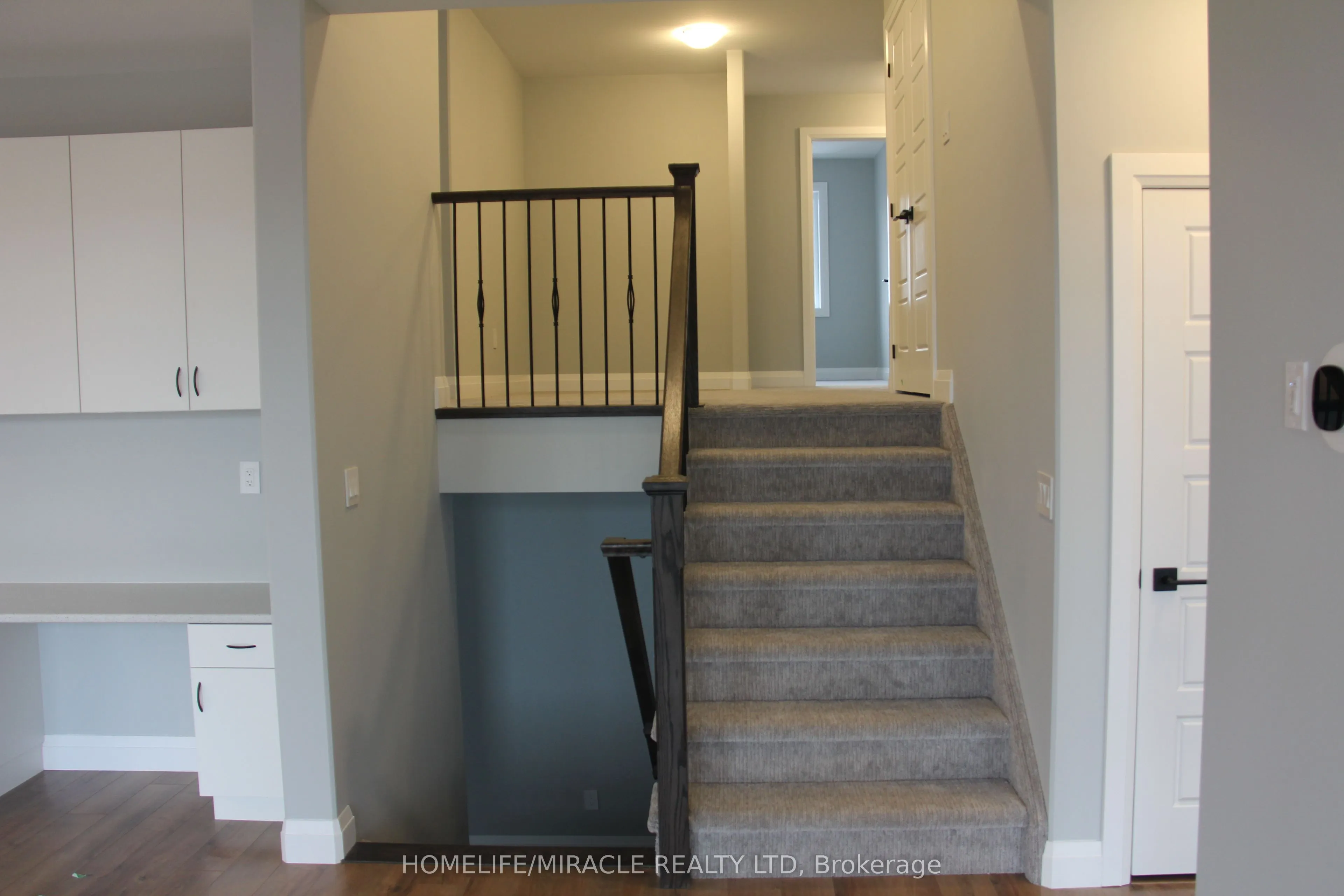 11 Lillys Court